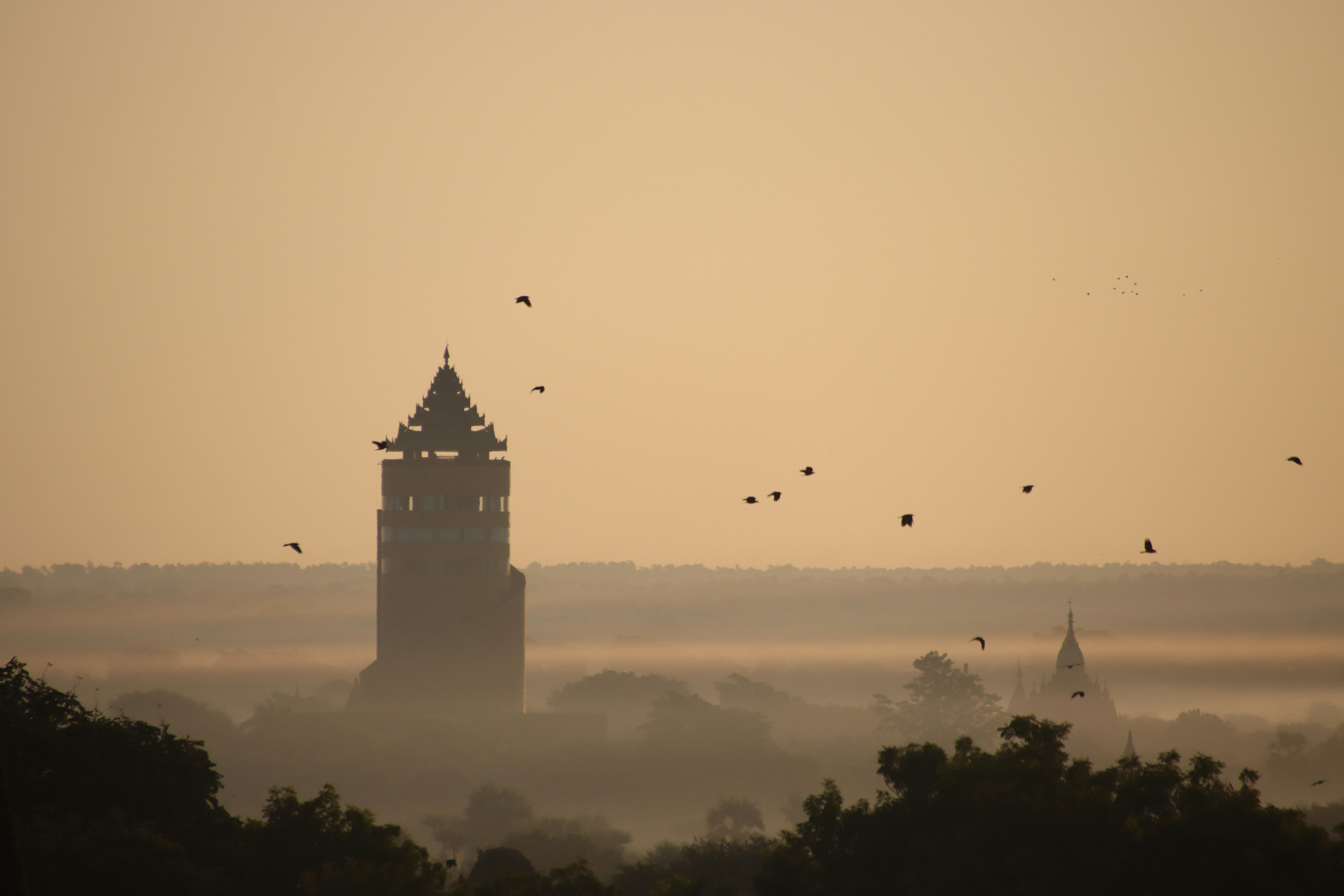 Birds fly around a tower at sunrise