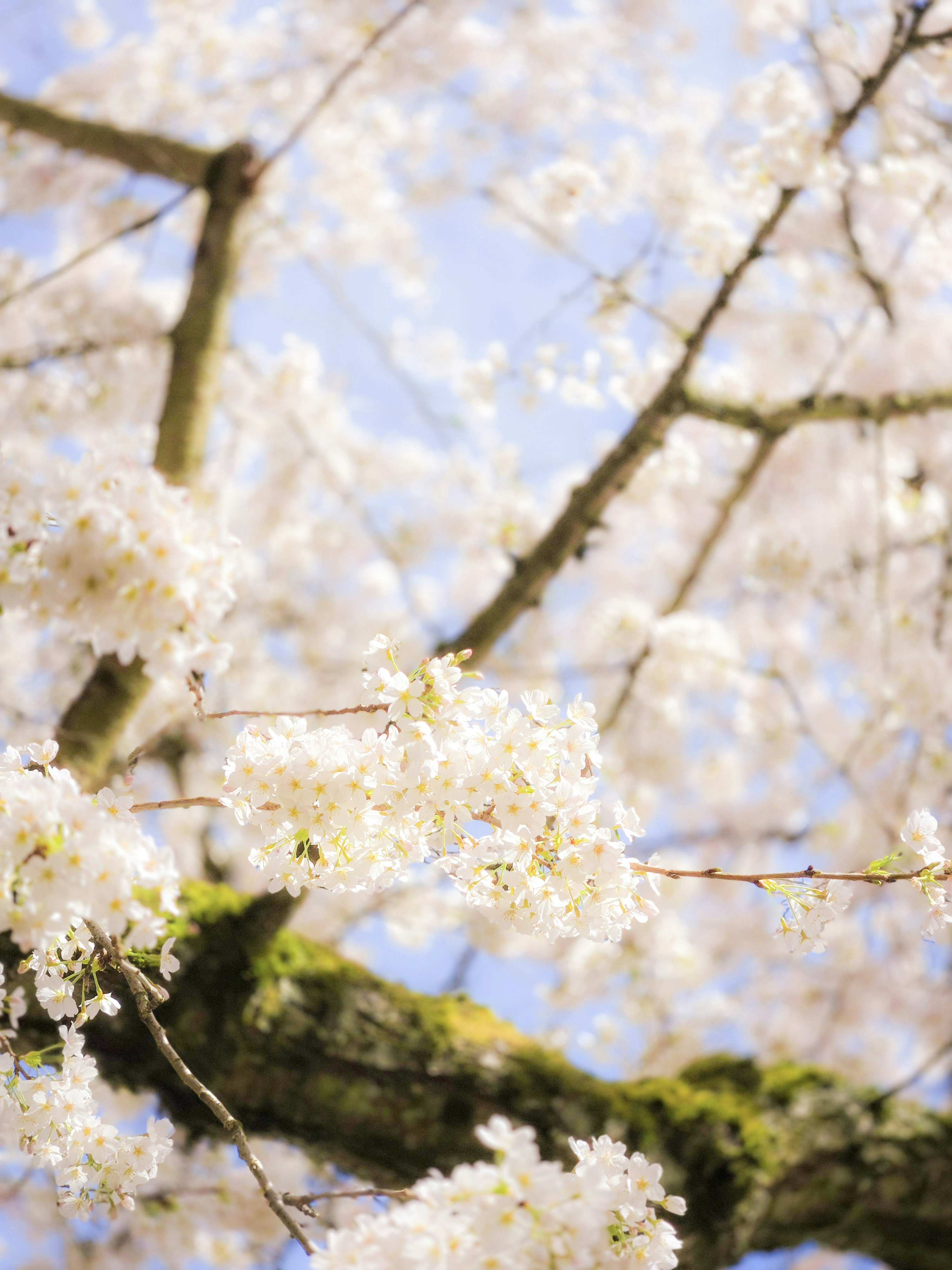 Photo by kuloo
