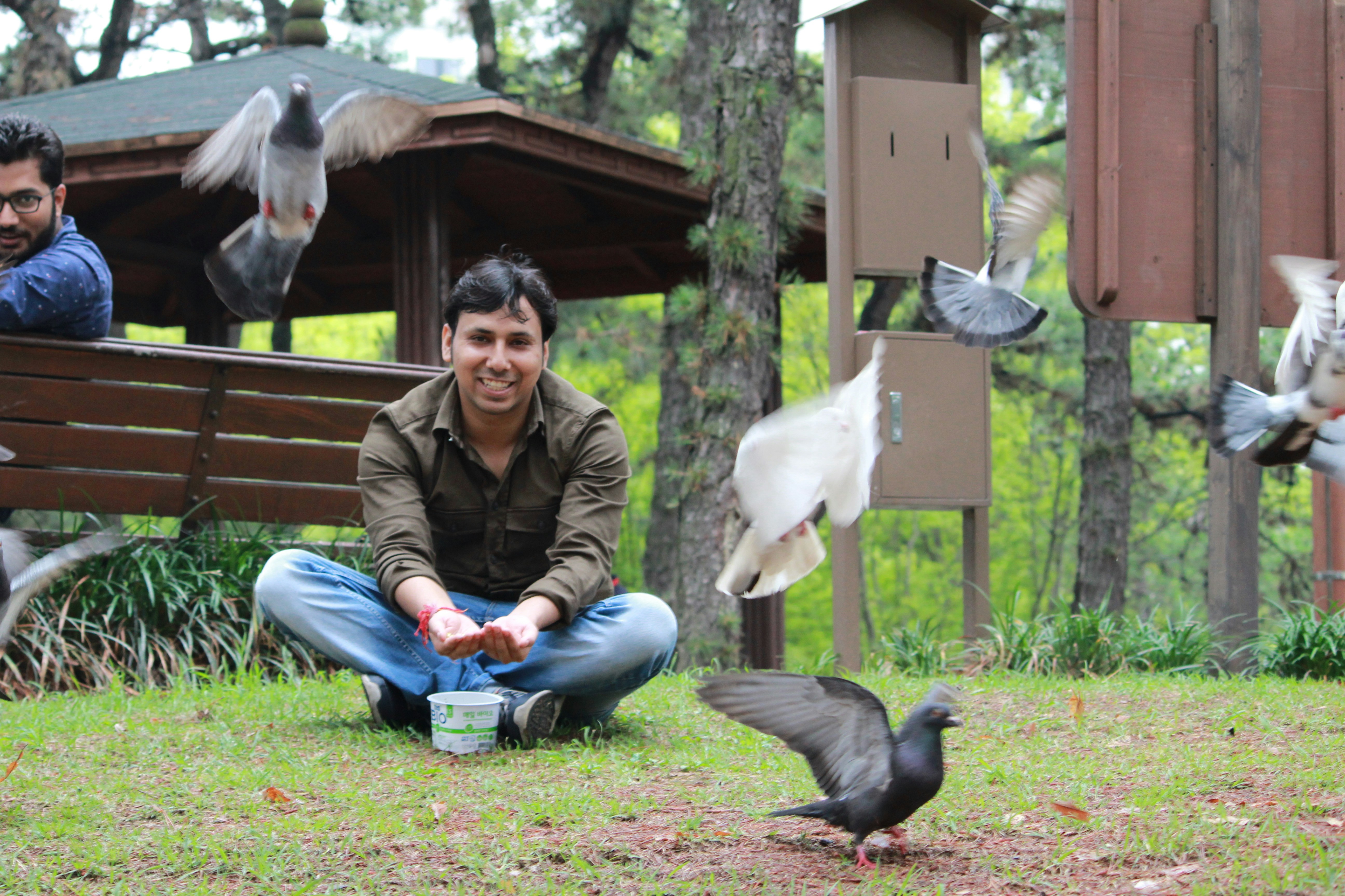 Man feeding pigeons in a park