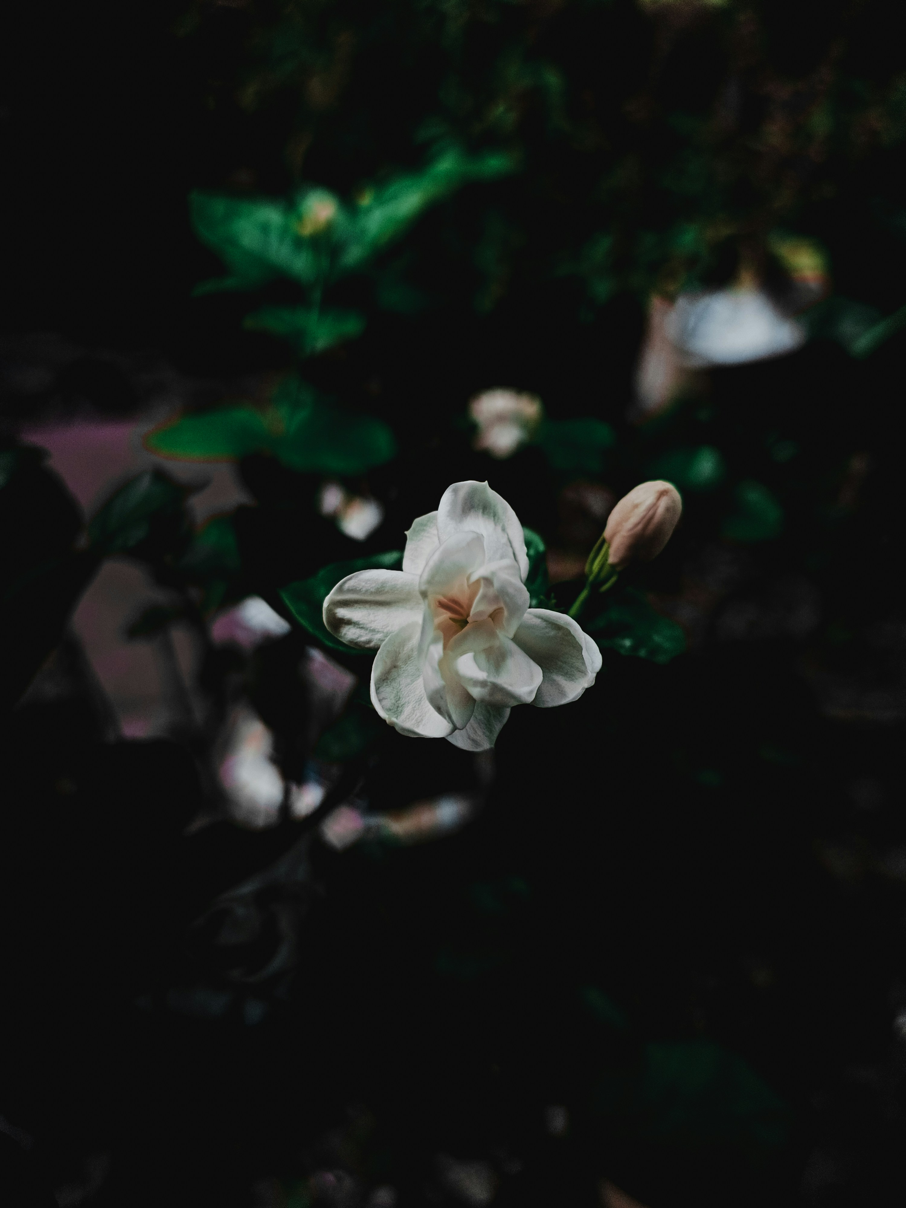 Photo by uravx