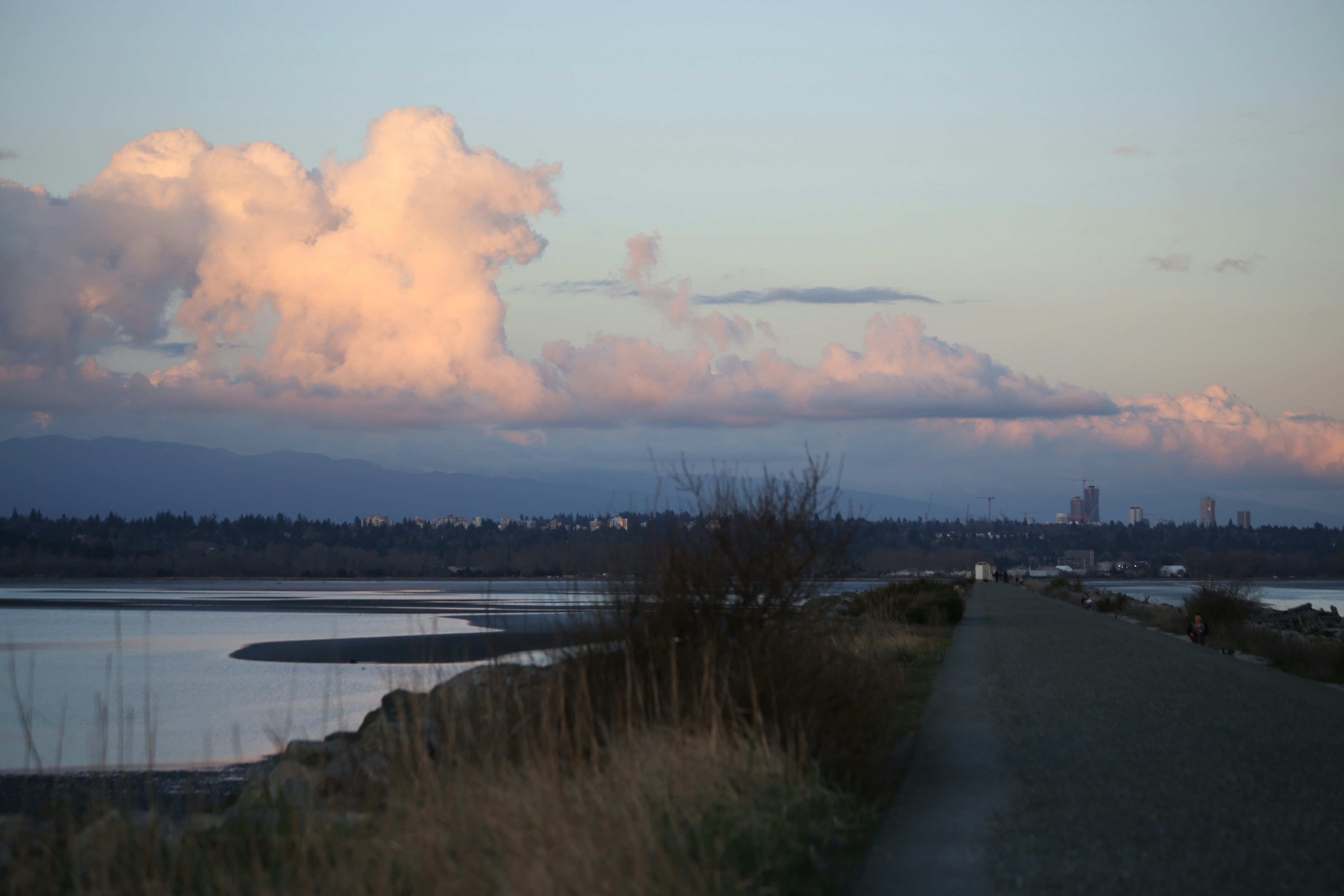 A paved path leads towards a distant cityscape at dusk.