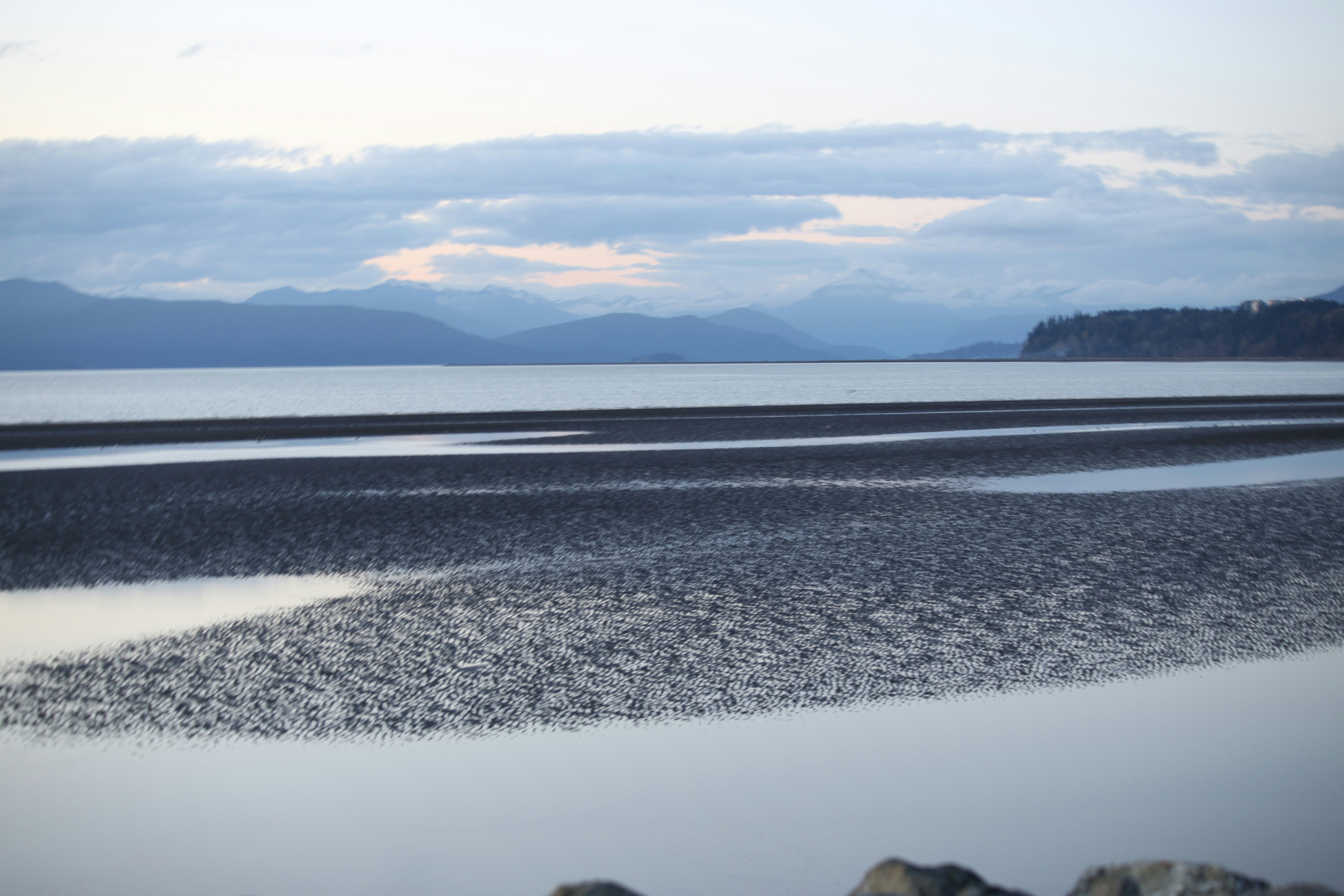 Calm ocean with exposed sandbars at low tide