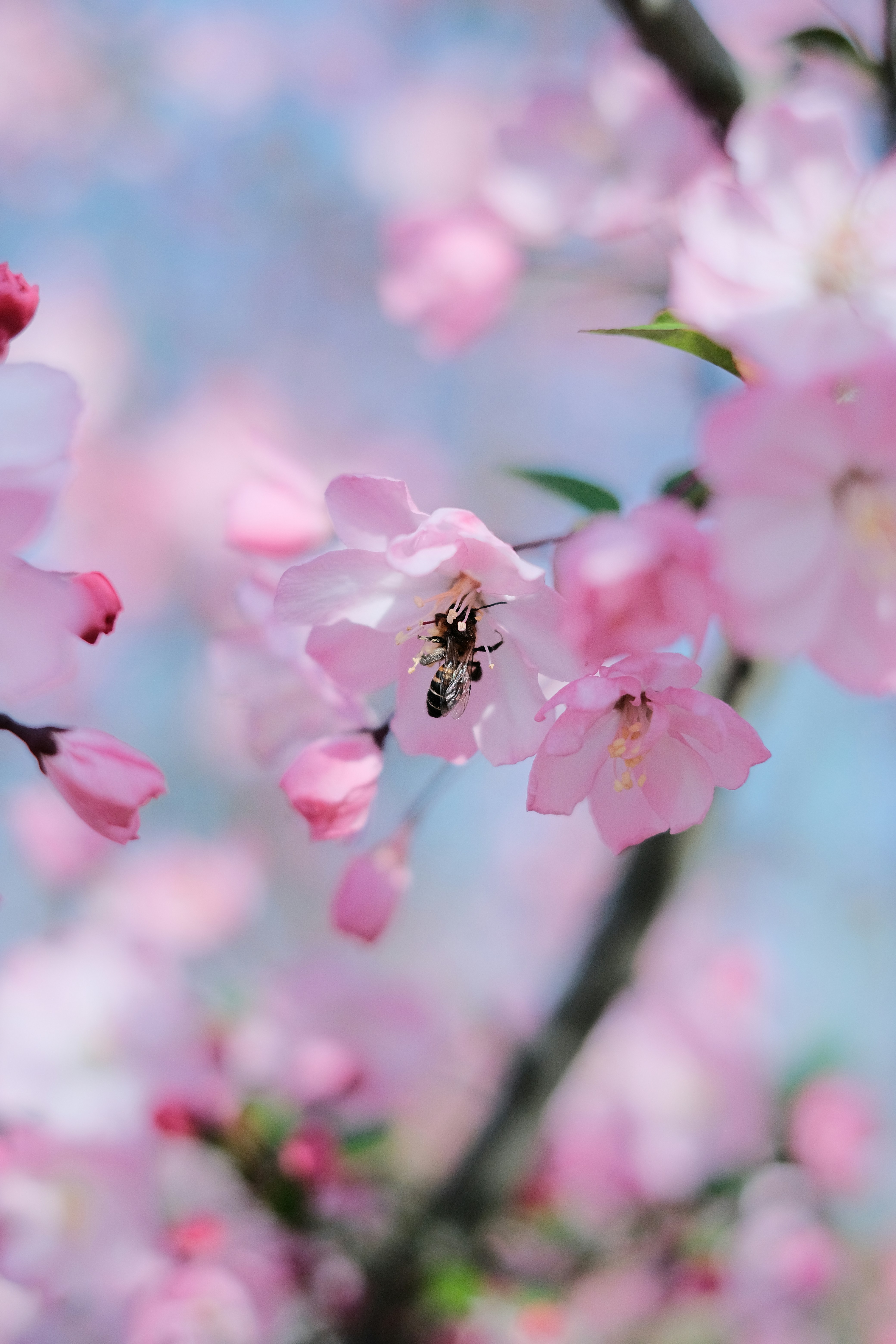 Photo by wenhao_ruan