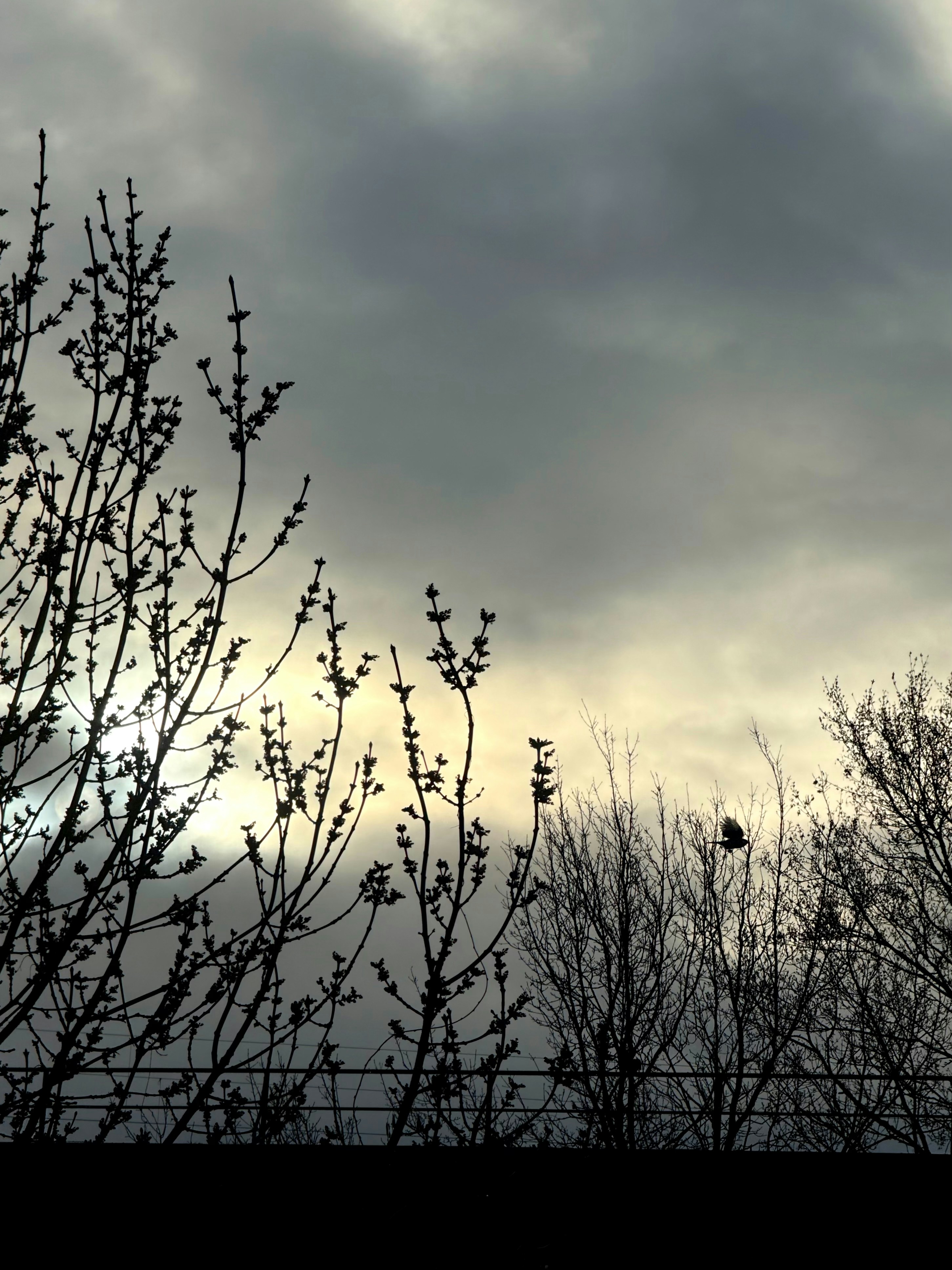 Photo by azmar_aso