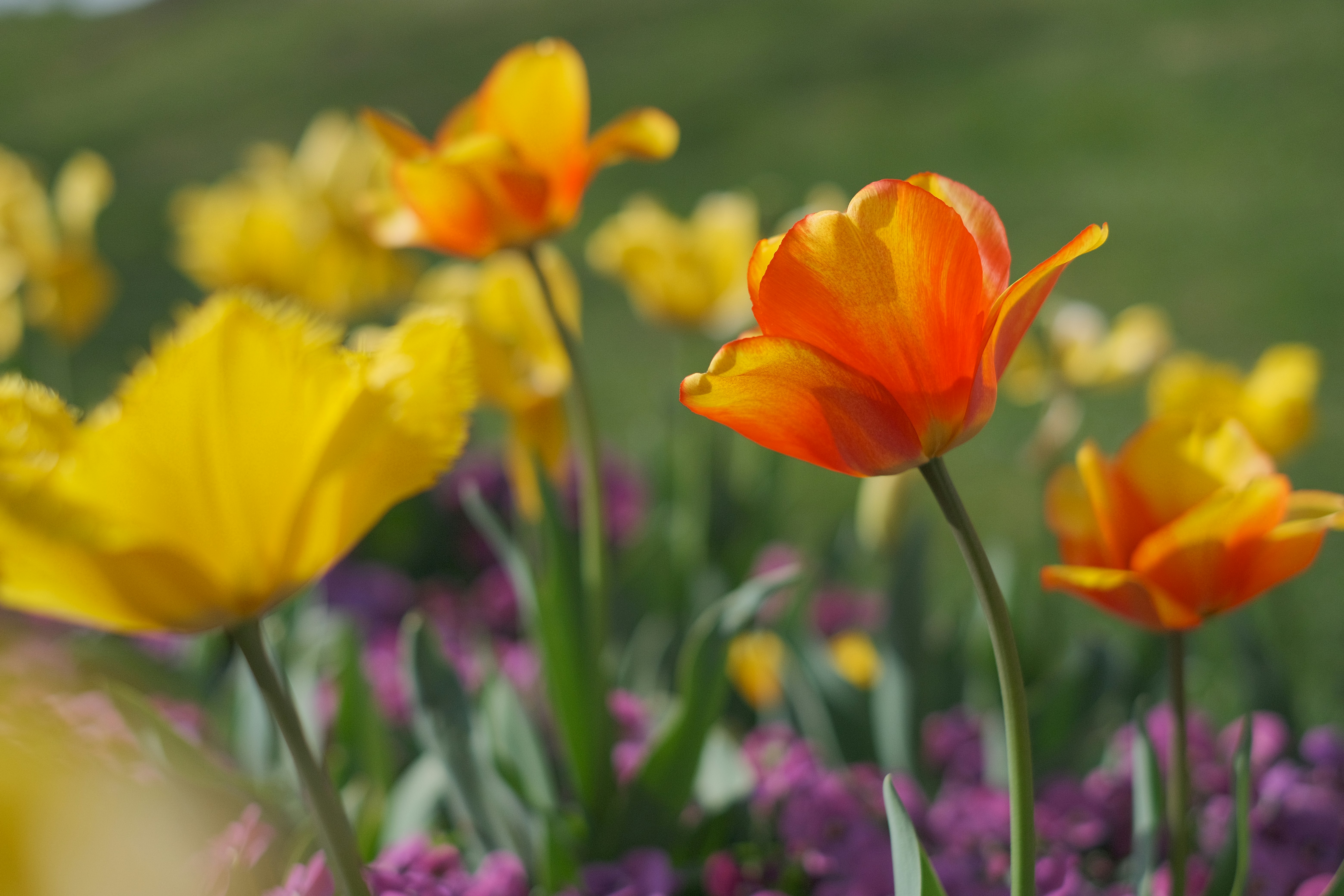 Photo by wenhao_ruan