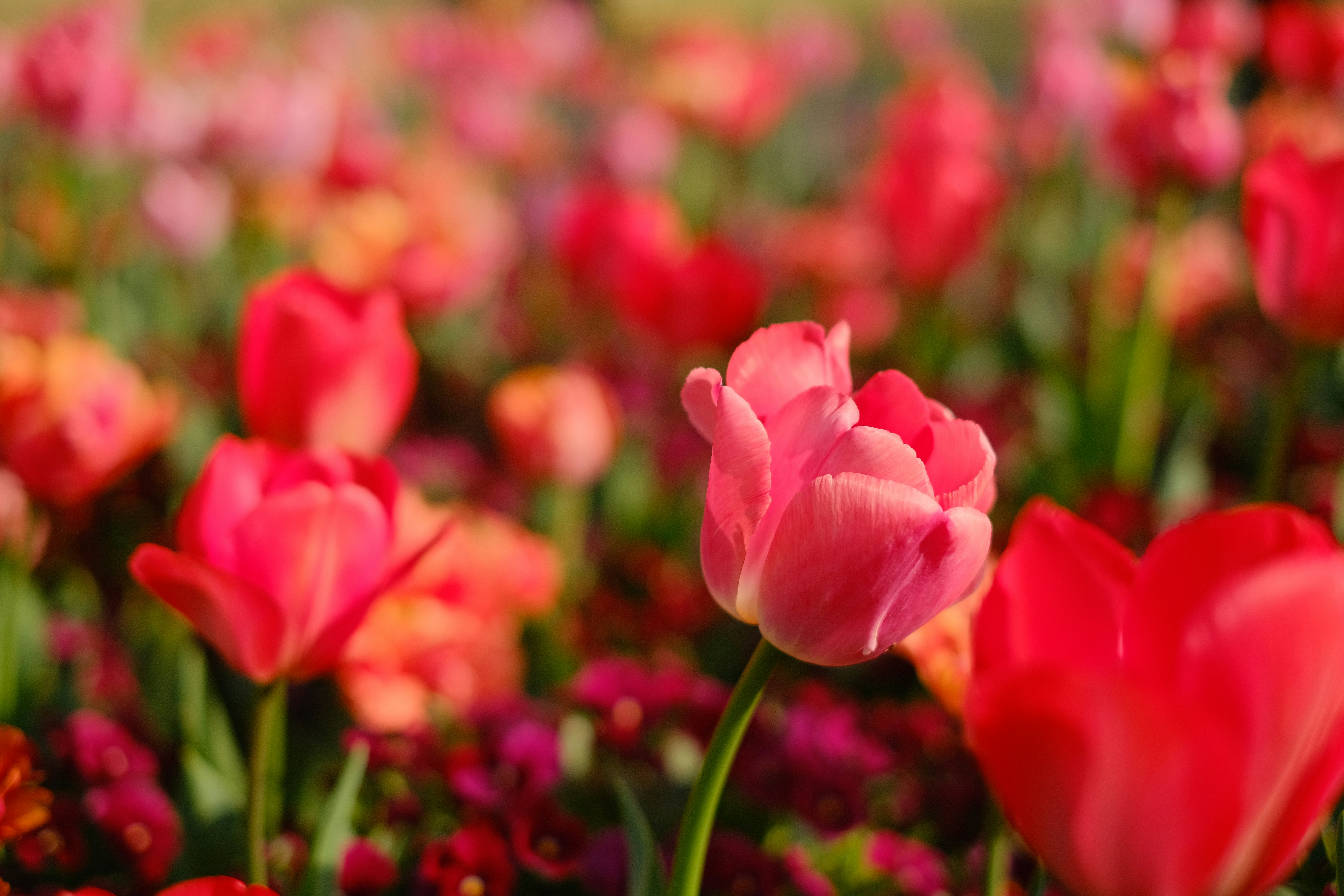 Photo by wenhao_ruan