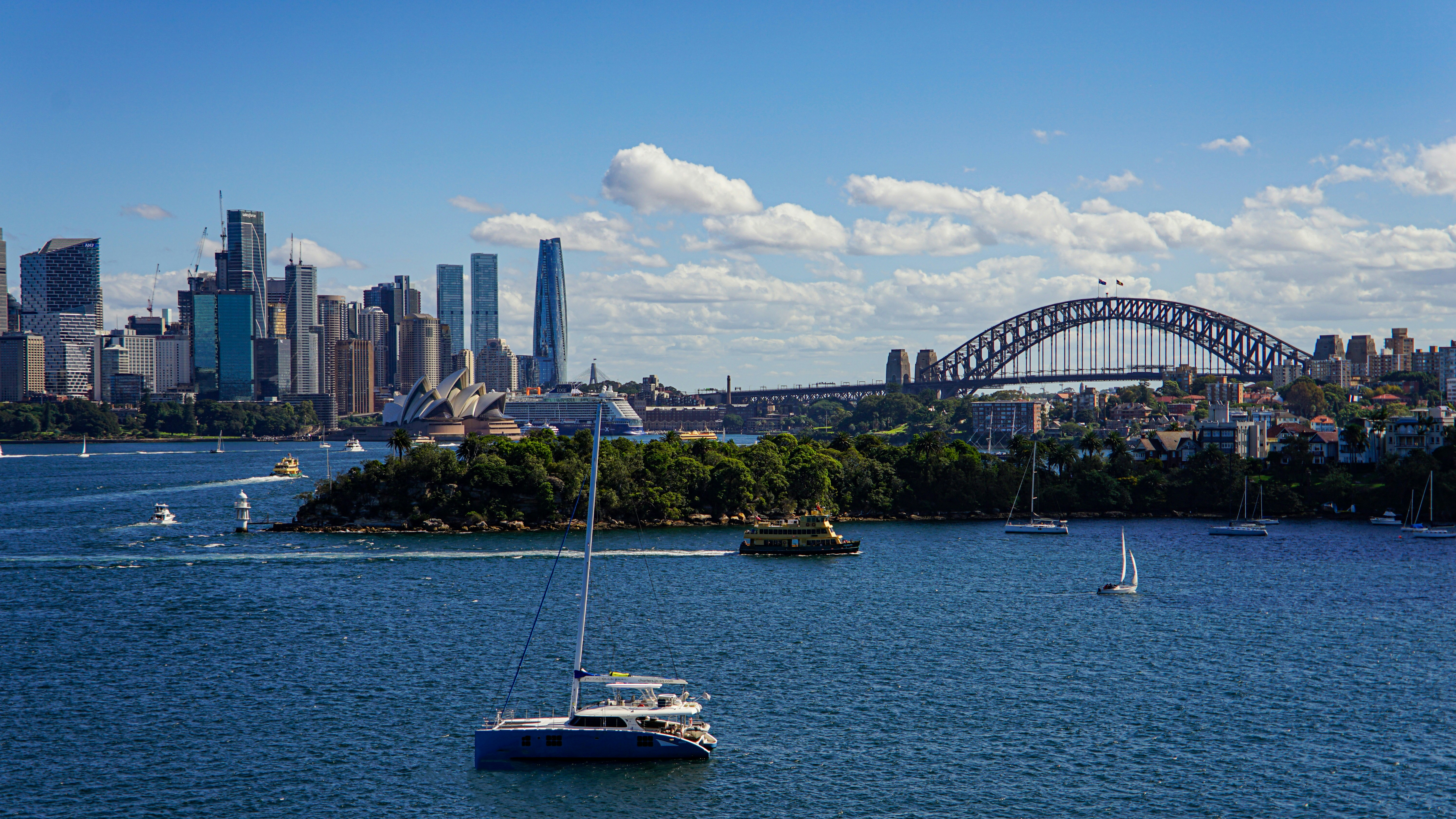 Sydney harbour with sailboats and city skyline