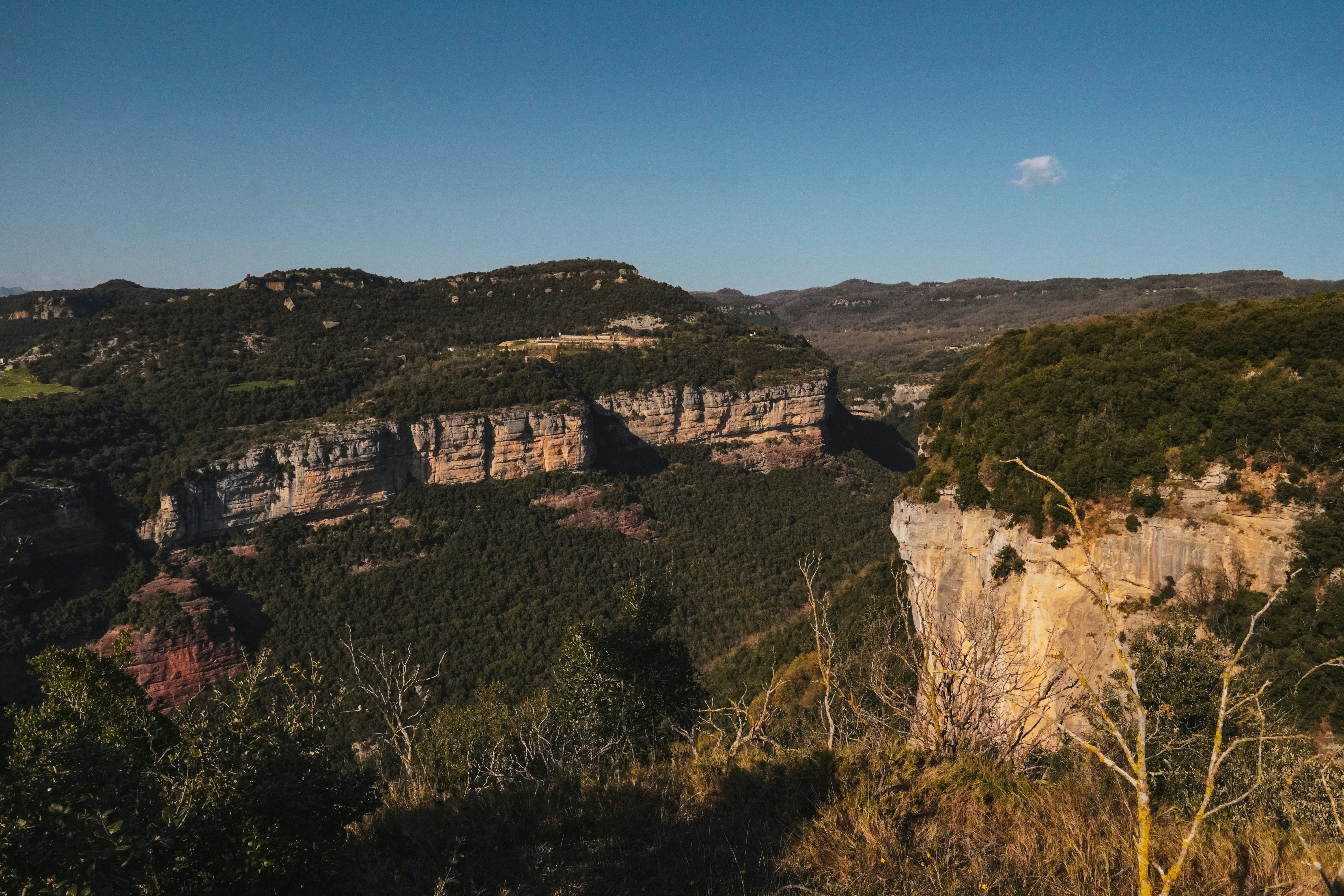 Rugged cliffs covered in green trees under a clear sky.