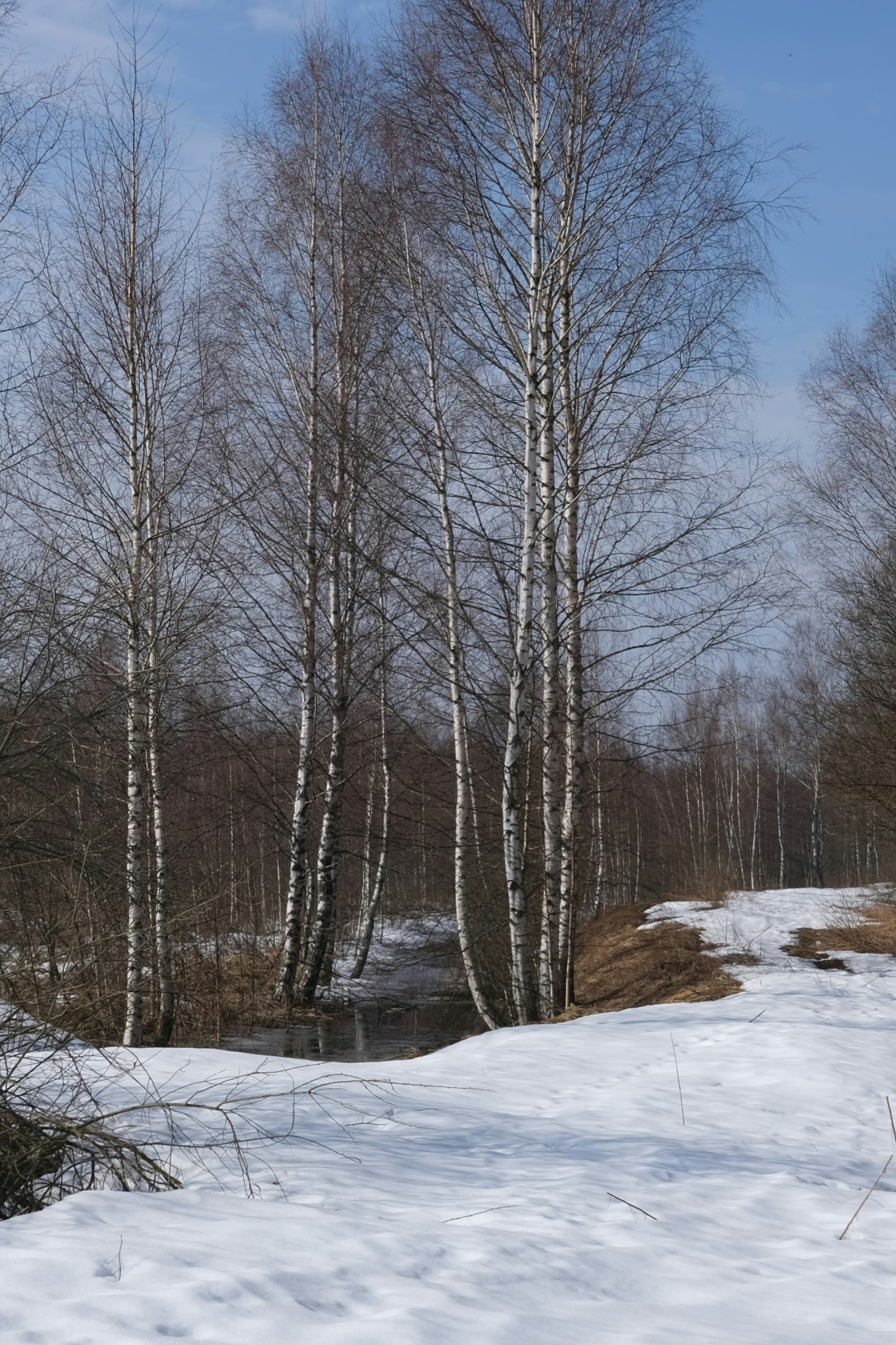 Photo by zapiatkina