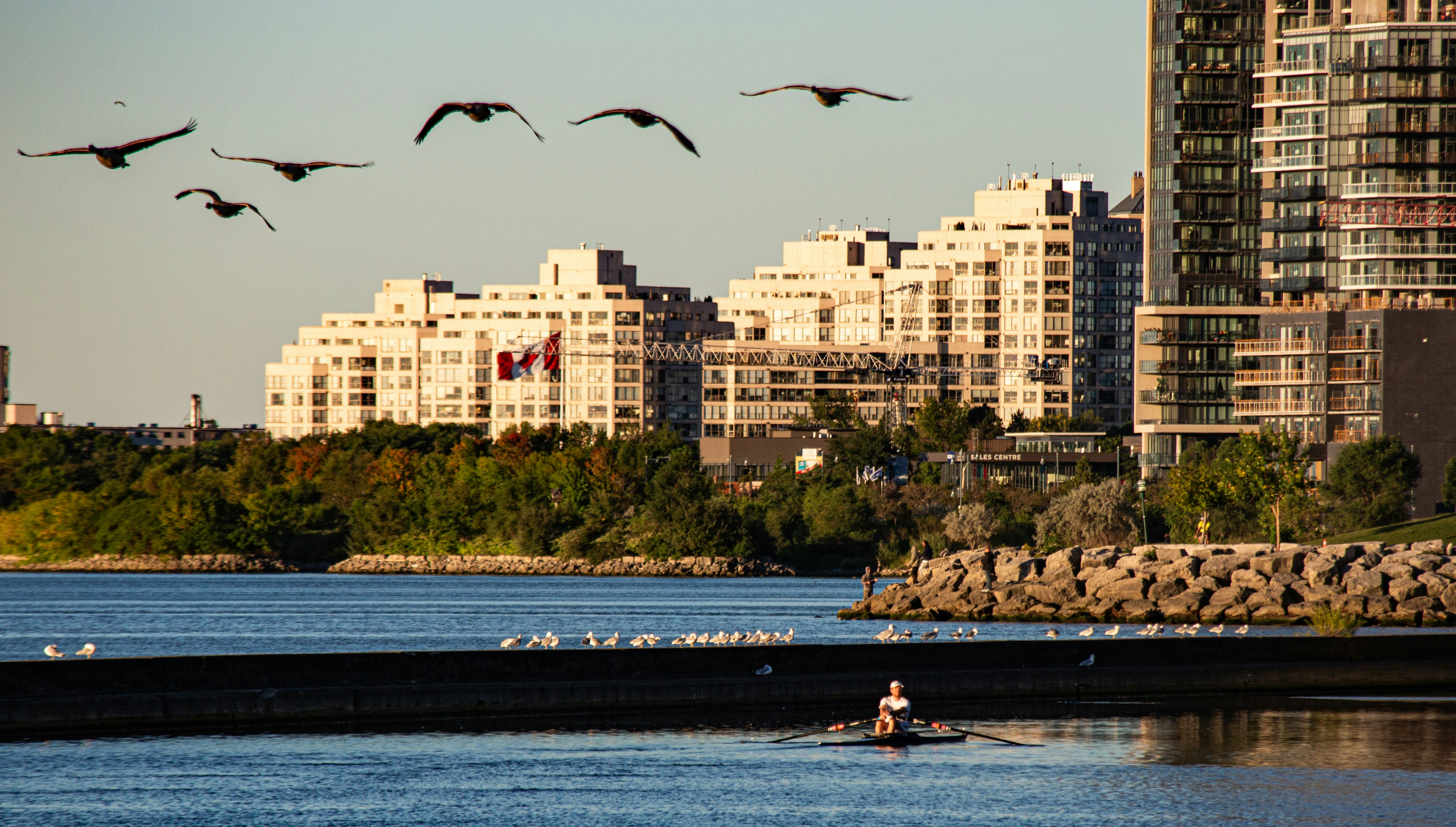A lone rower on the water with city buildings behind.