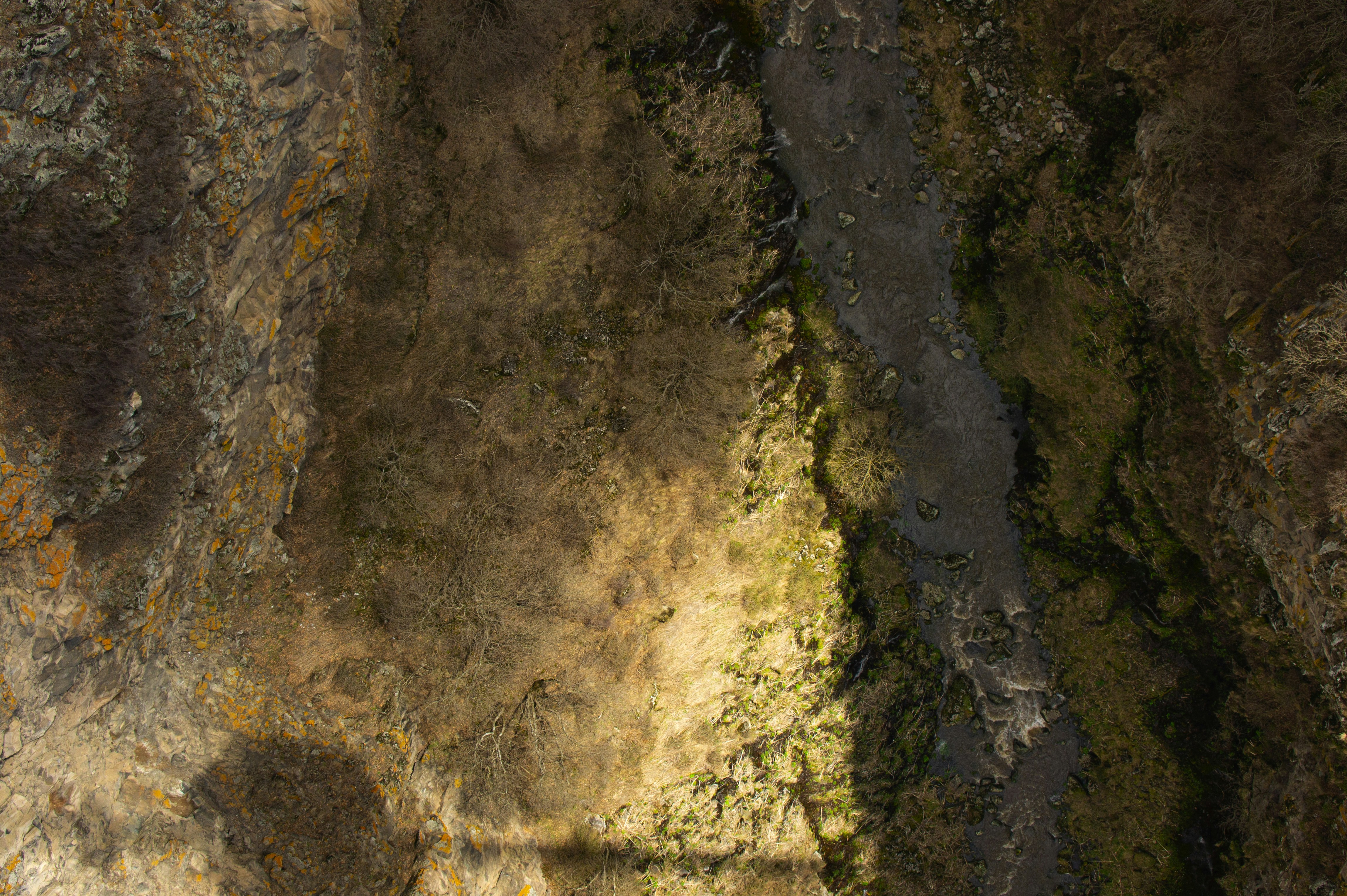 Photo by notprivatenotrare