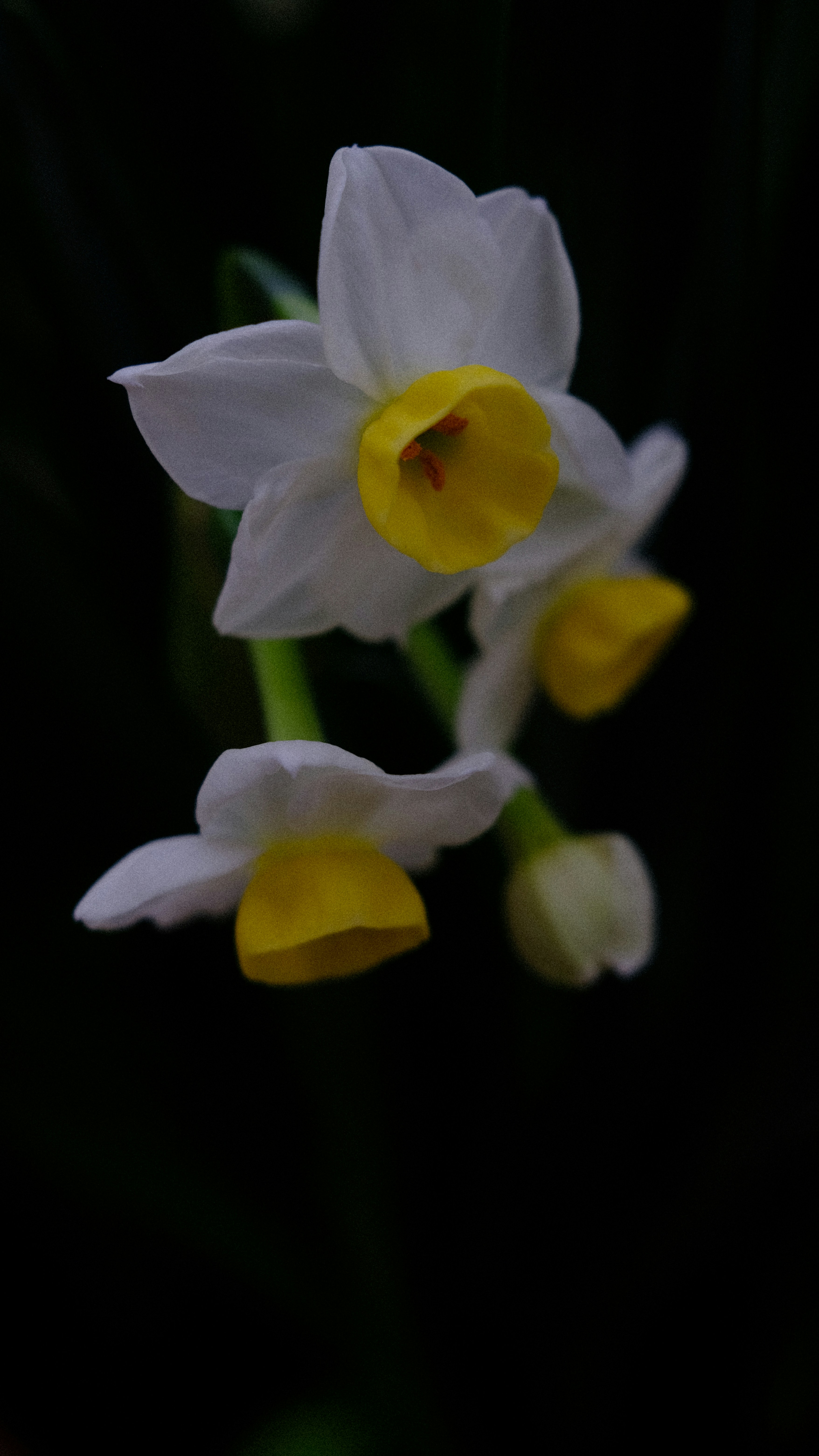 Photo by fromary