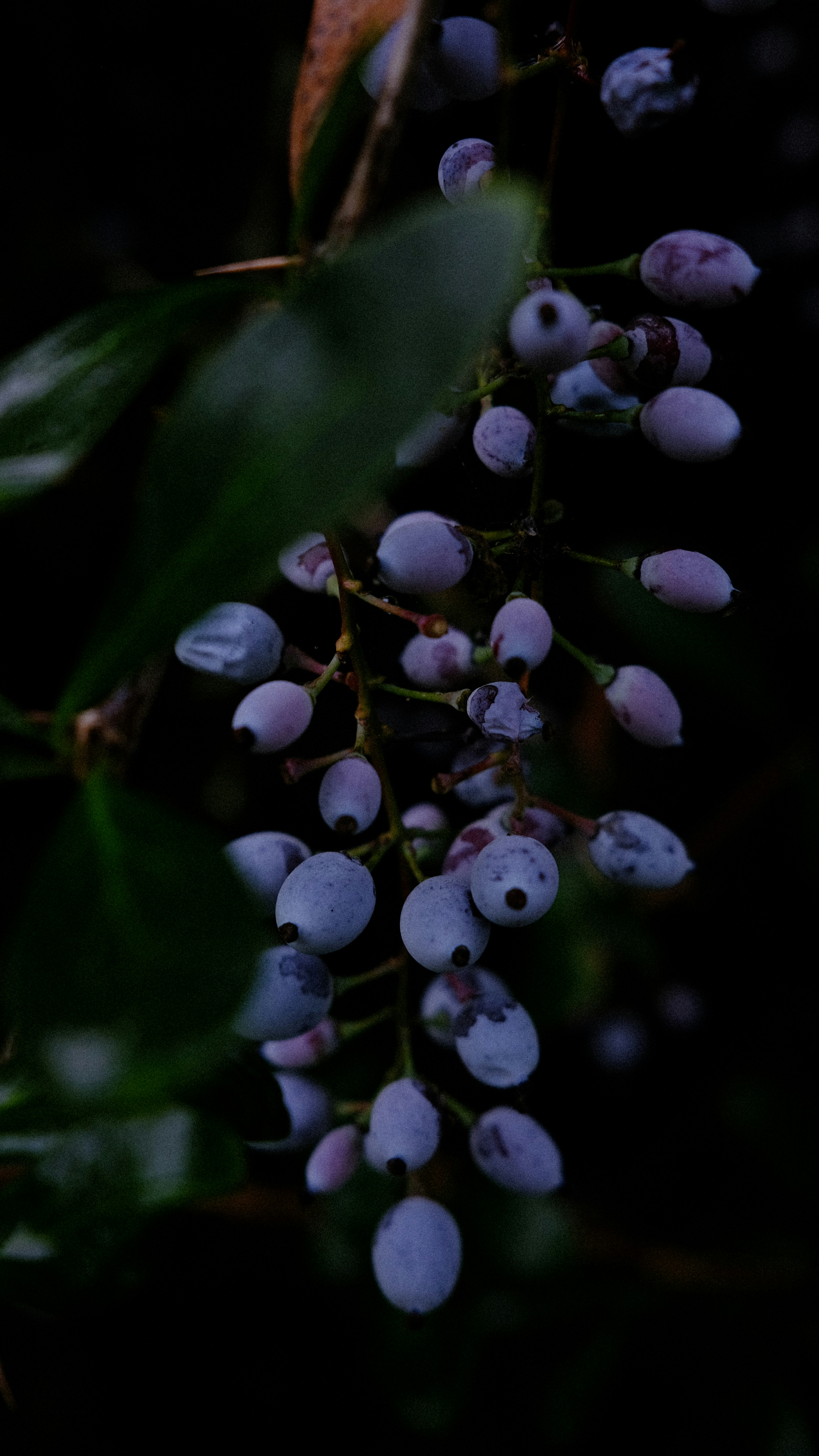 Photo by fromary