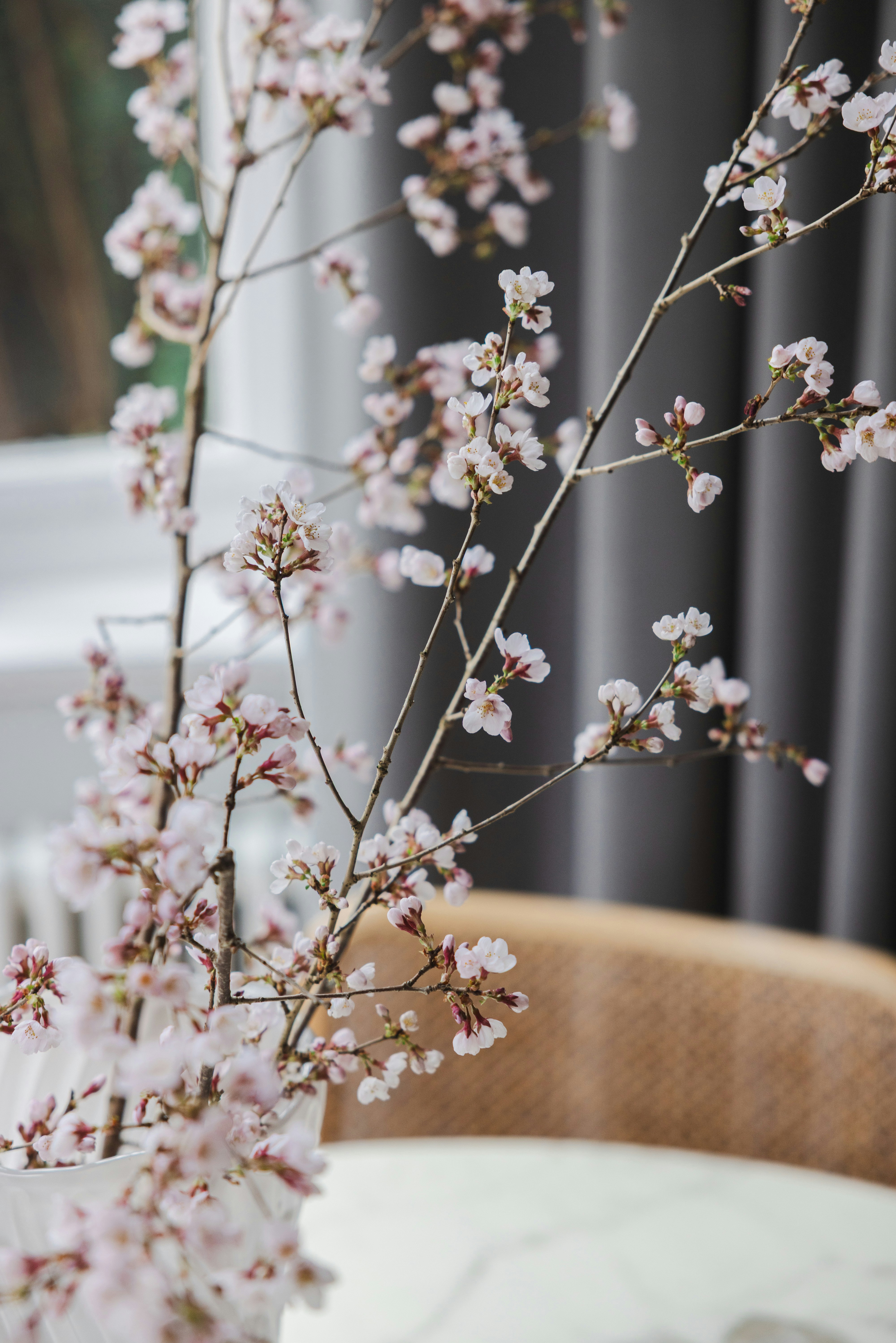 Photo by filipp_roman_photography