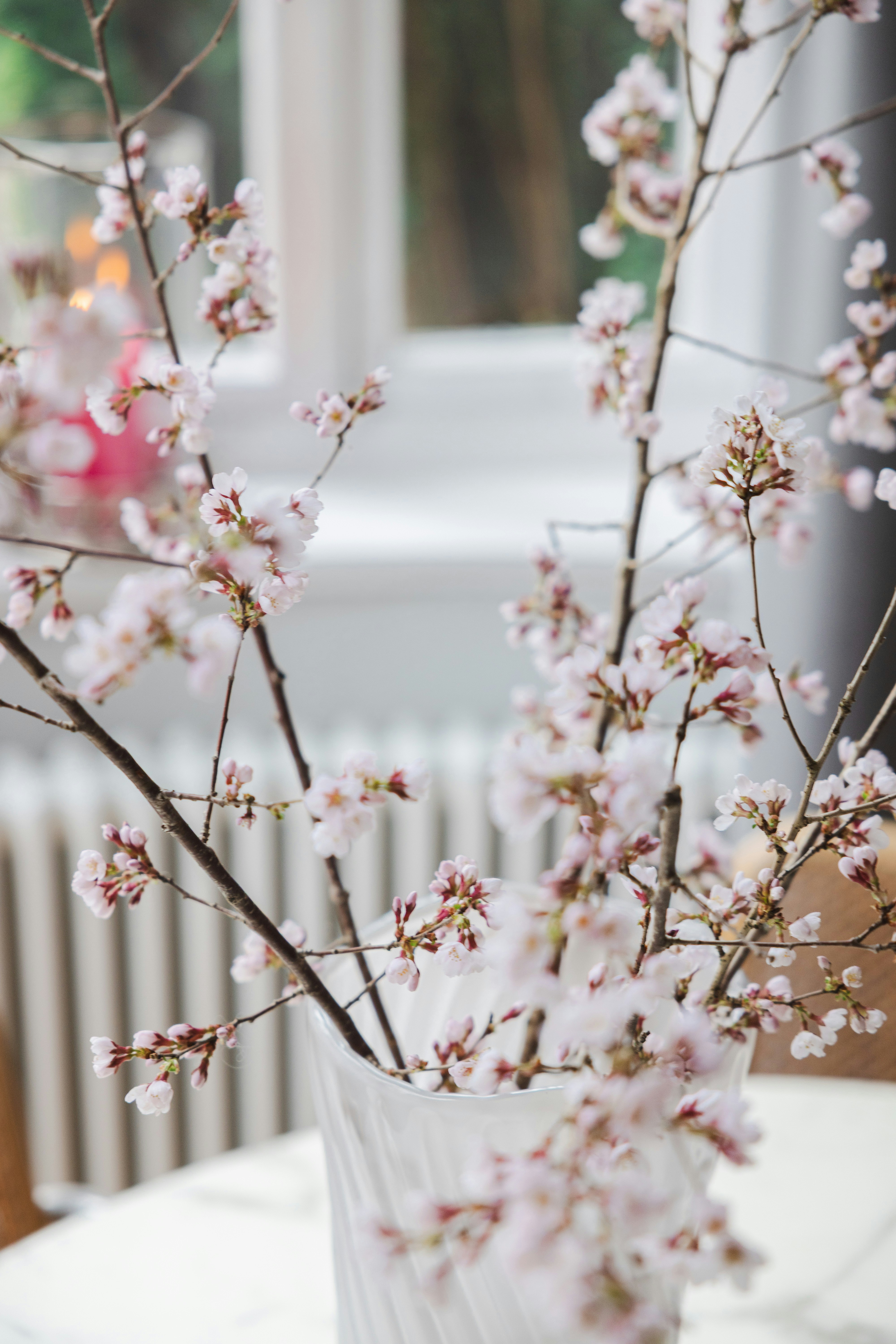 Photo by filipp_roman_photography