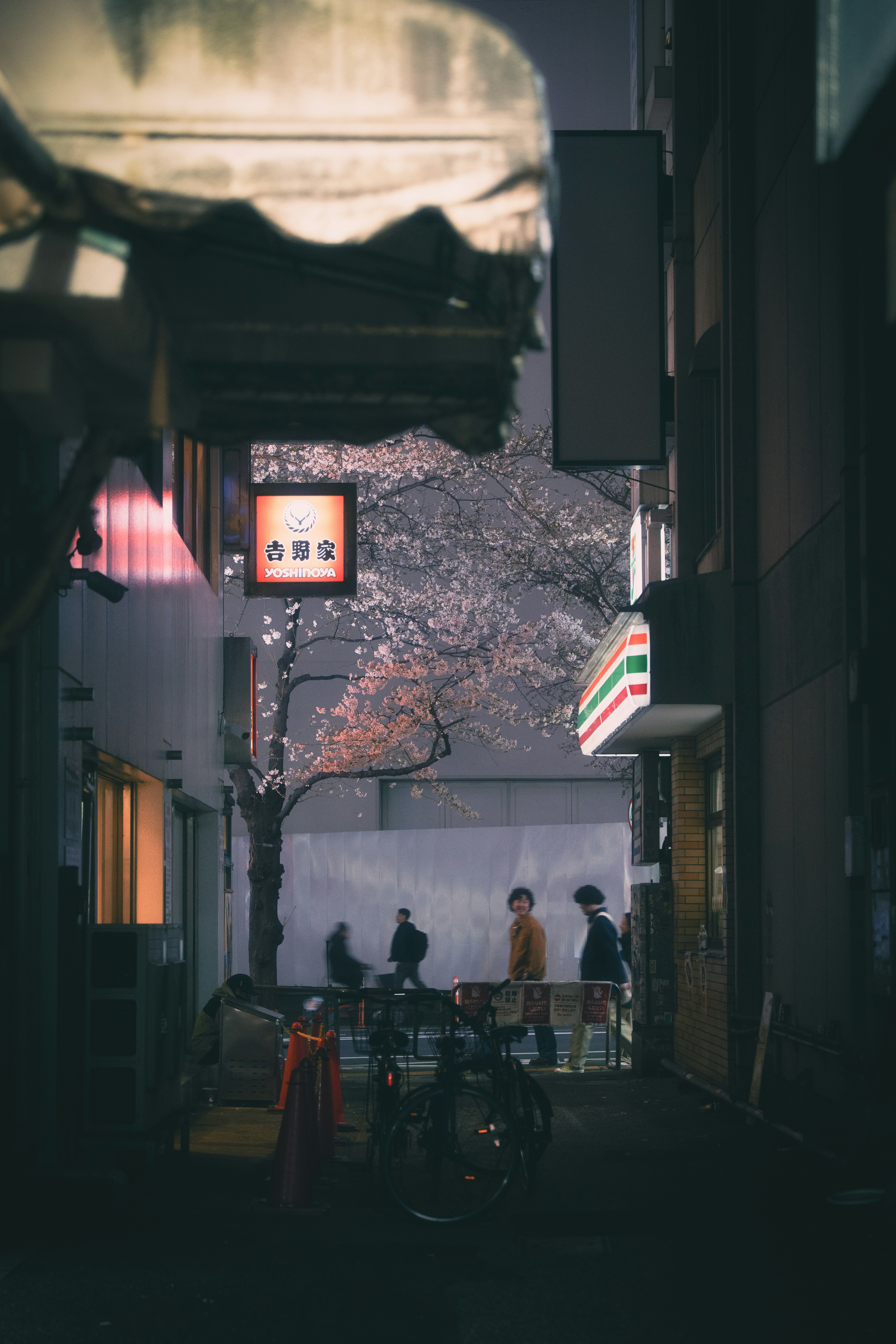 People stand under a cherry blossom tree at night.