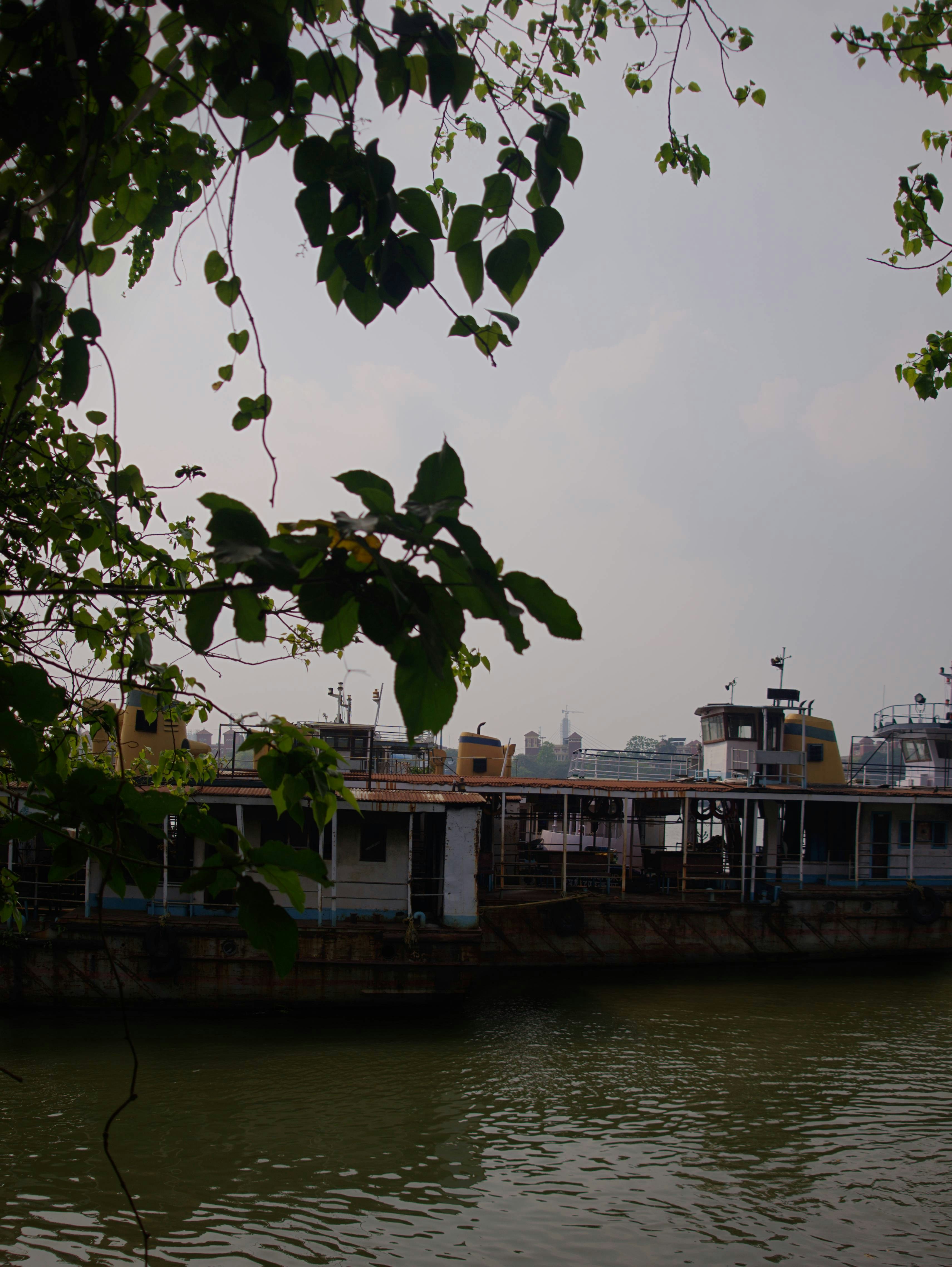 전경에 나무가 있는 강가에 정박한 배들.