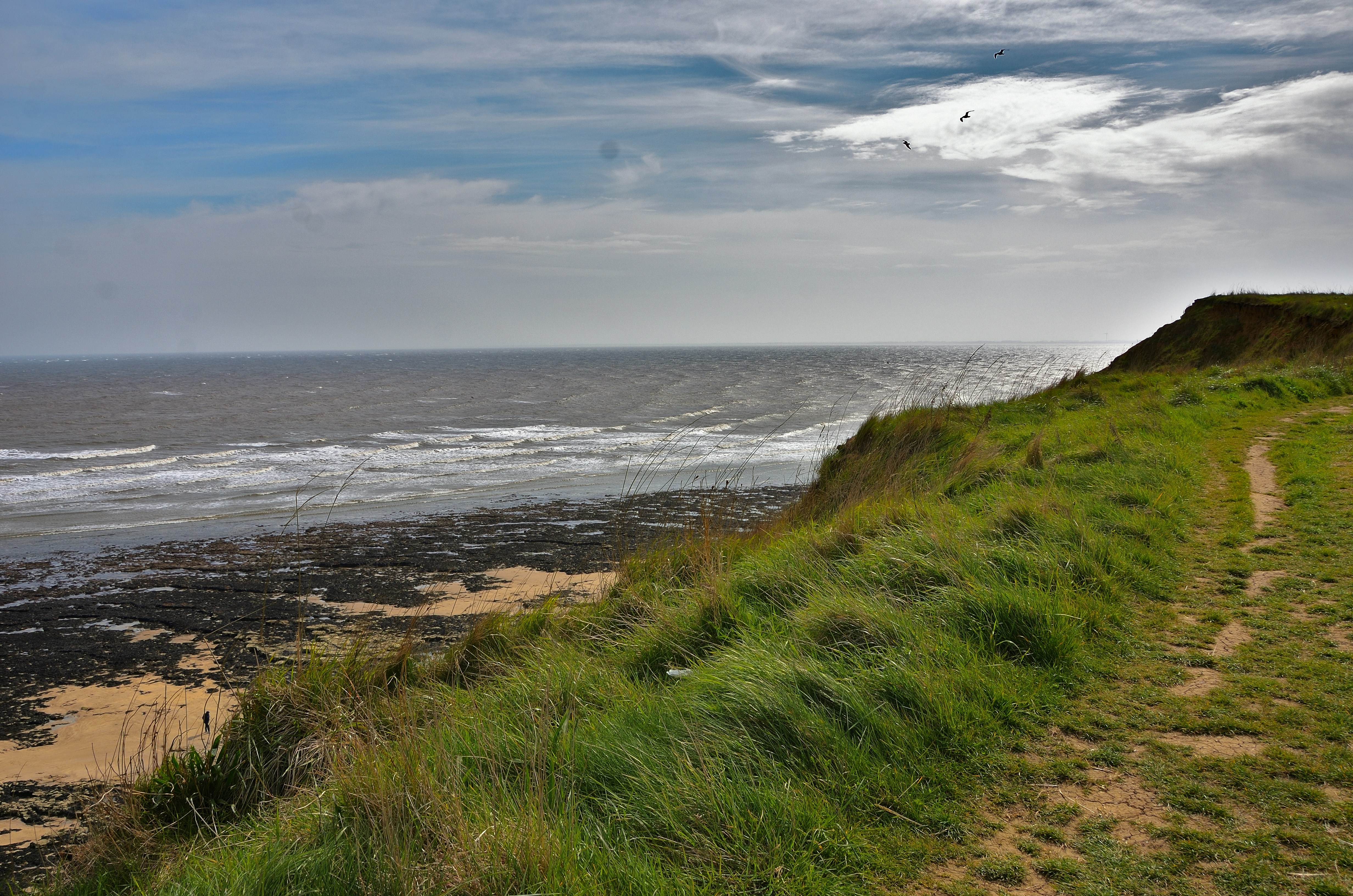 Grassy cliff path overlooking a rocky coastline and ocean