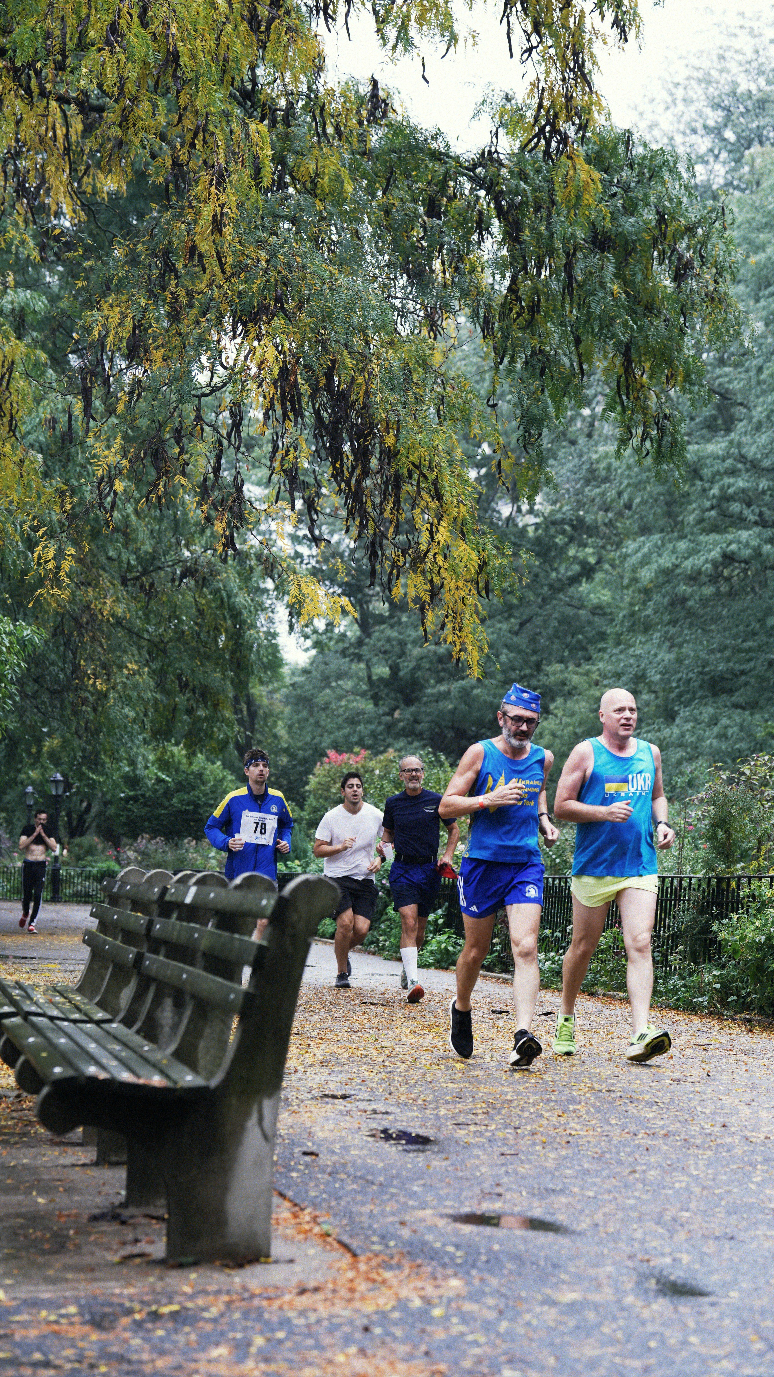 Runners on a path in a park with autumn trees