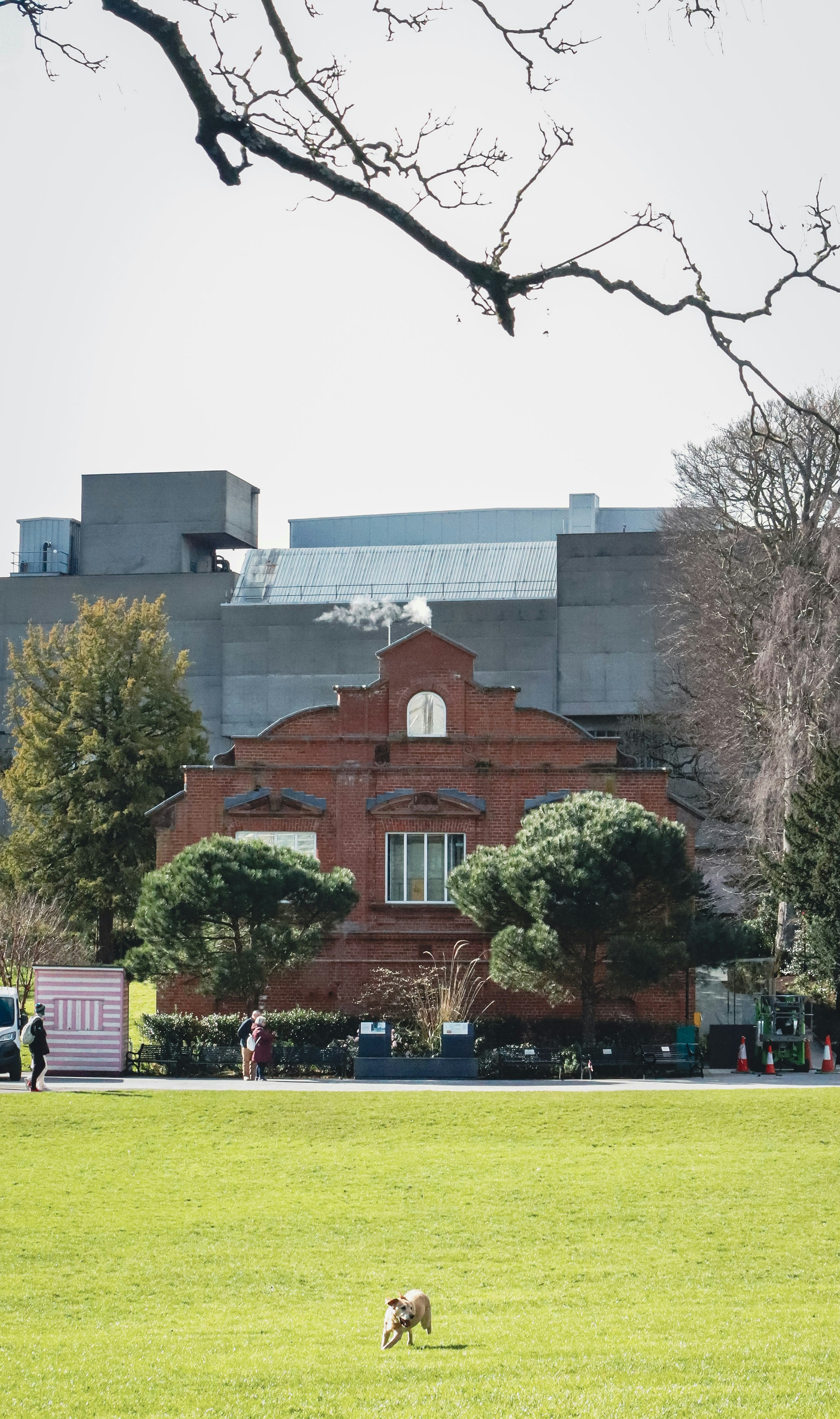 芝生の公園にある木々のあるレンガ造りの建物。