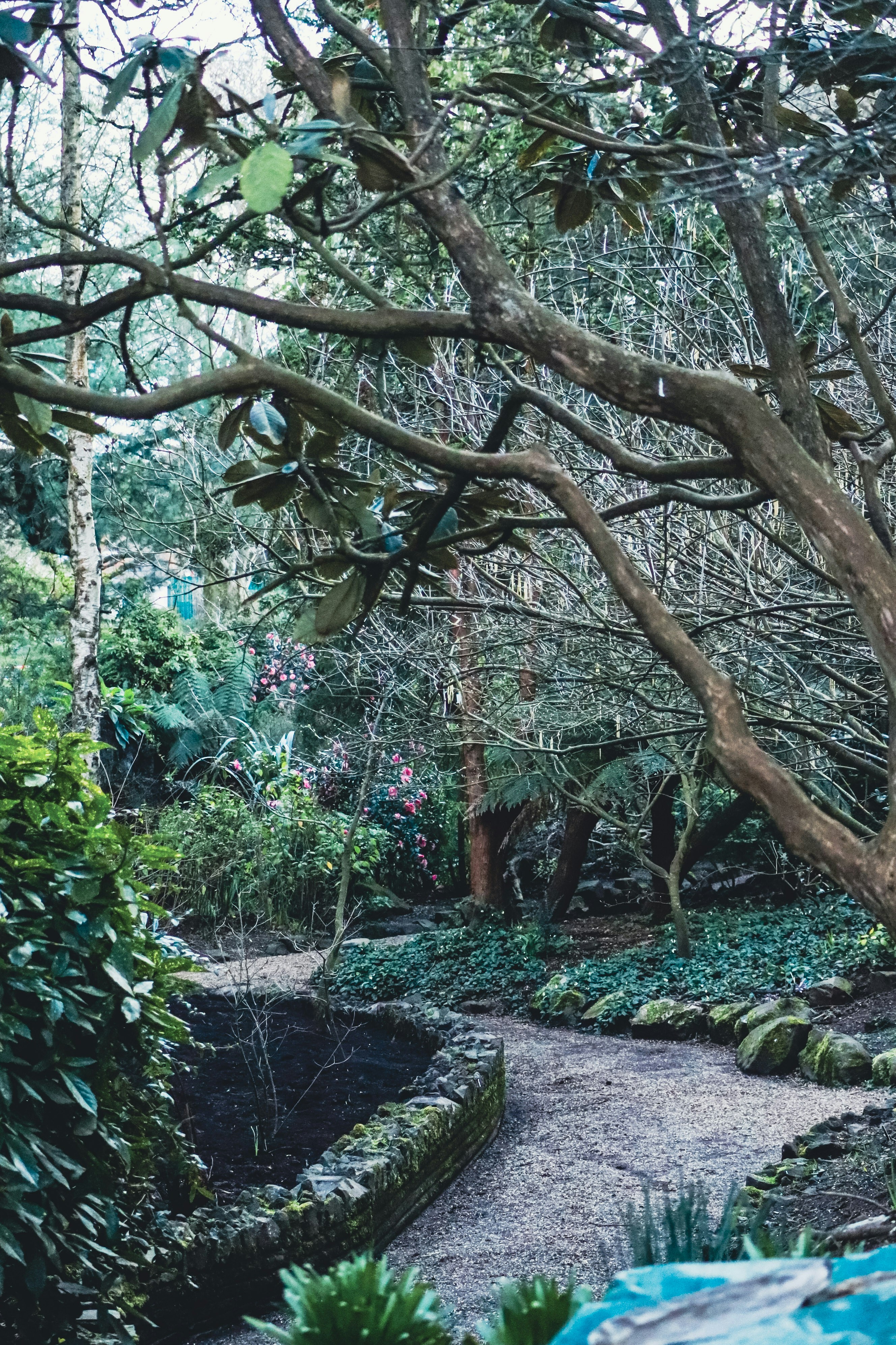 青々とした庭園を曲がりくねった小道
