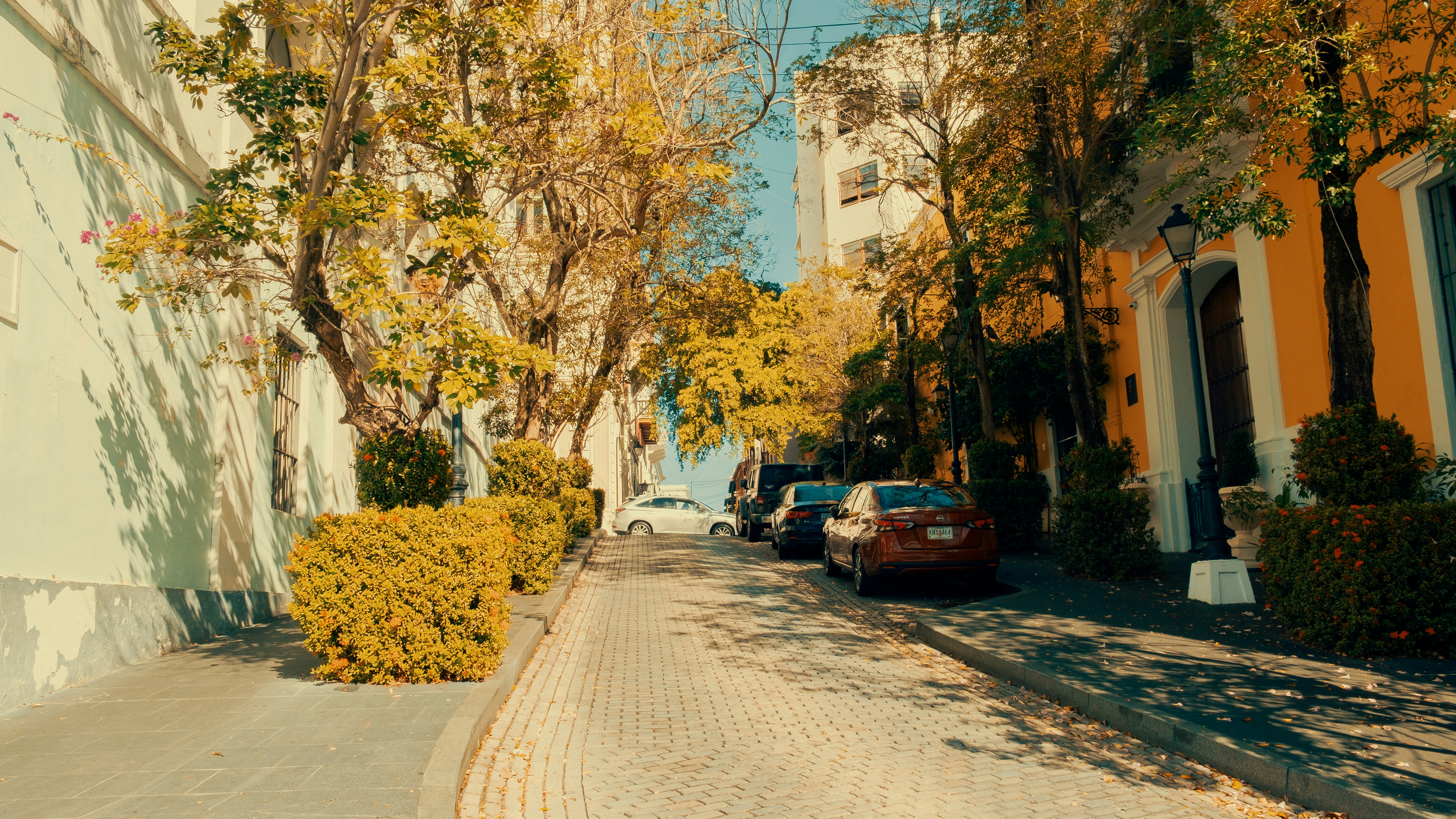 Photo by visualsbyamor