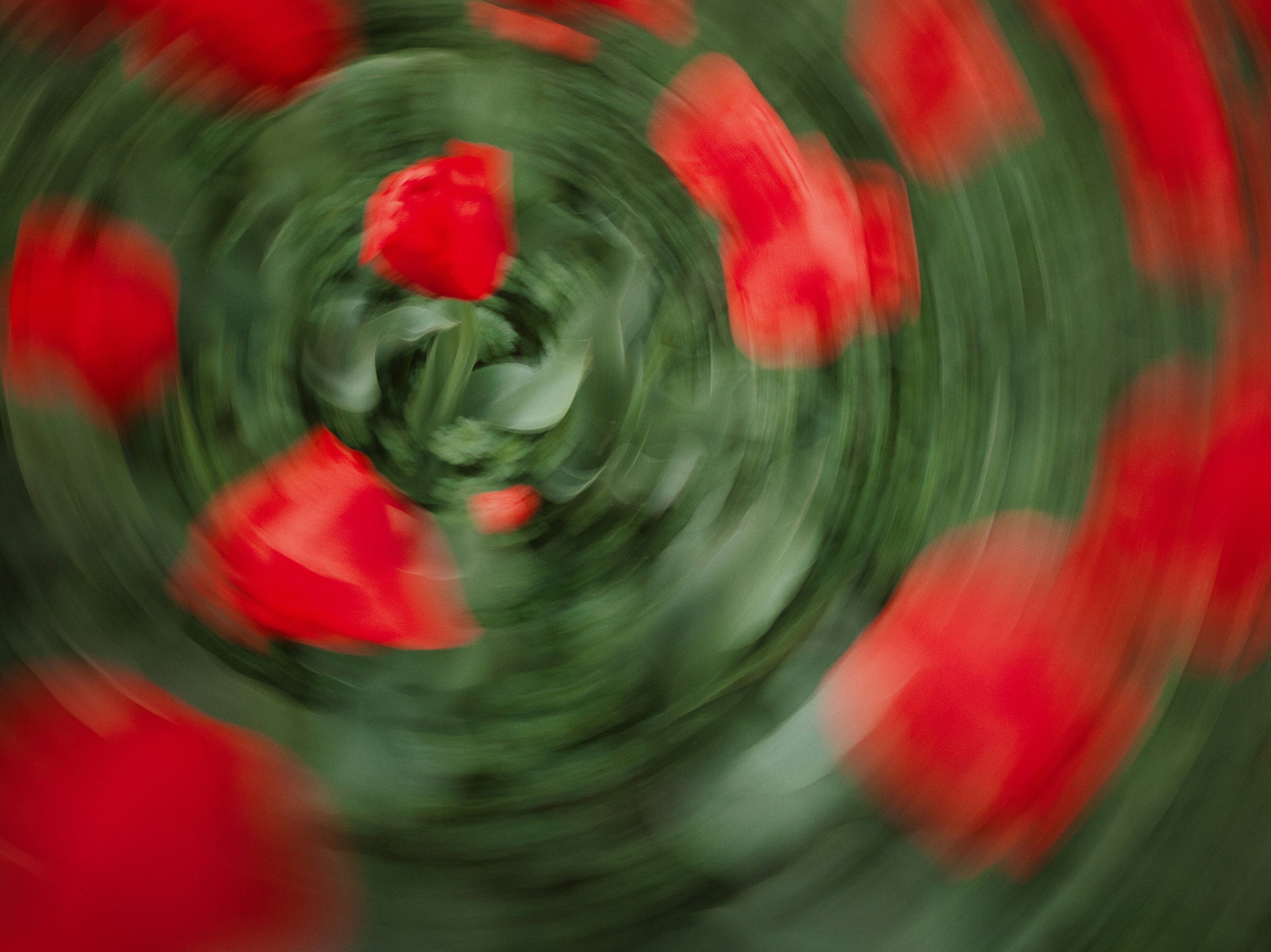 Photo by quarkpixel