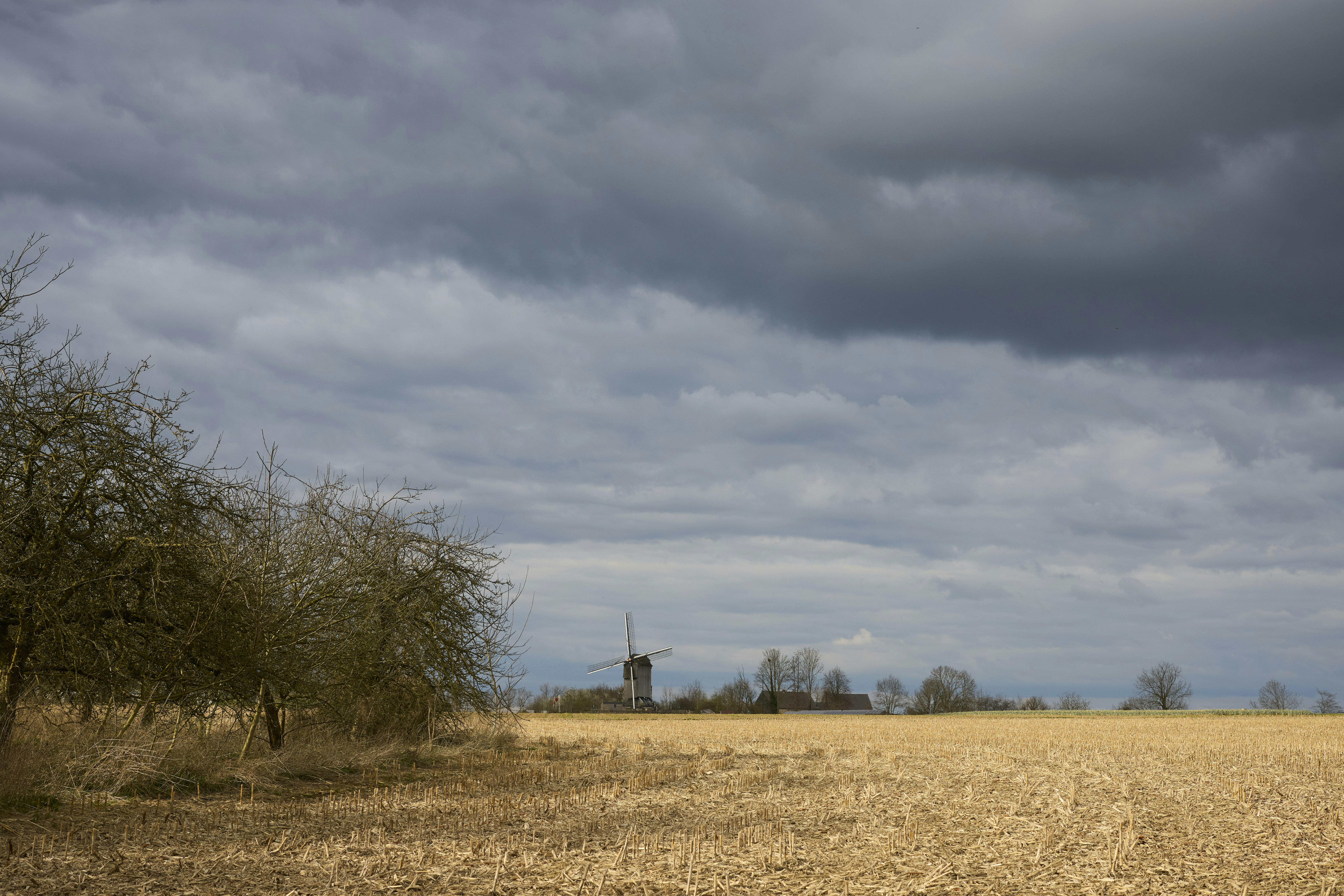 Photo by erwinbosman