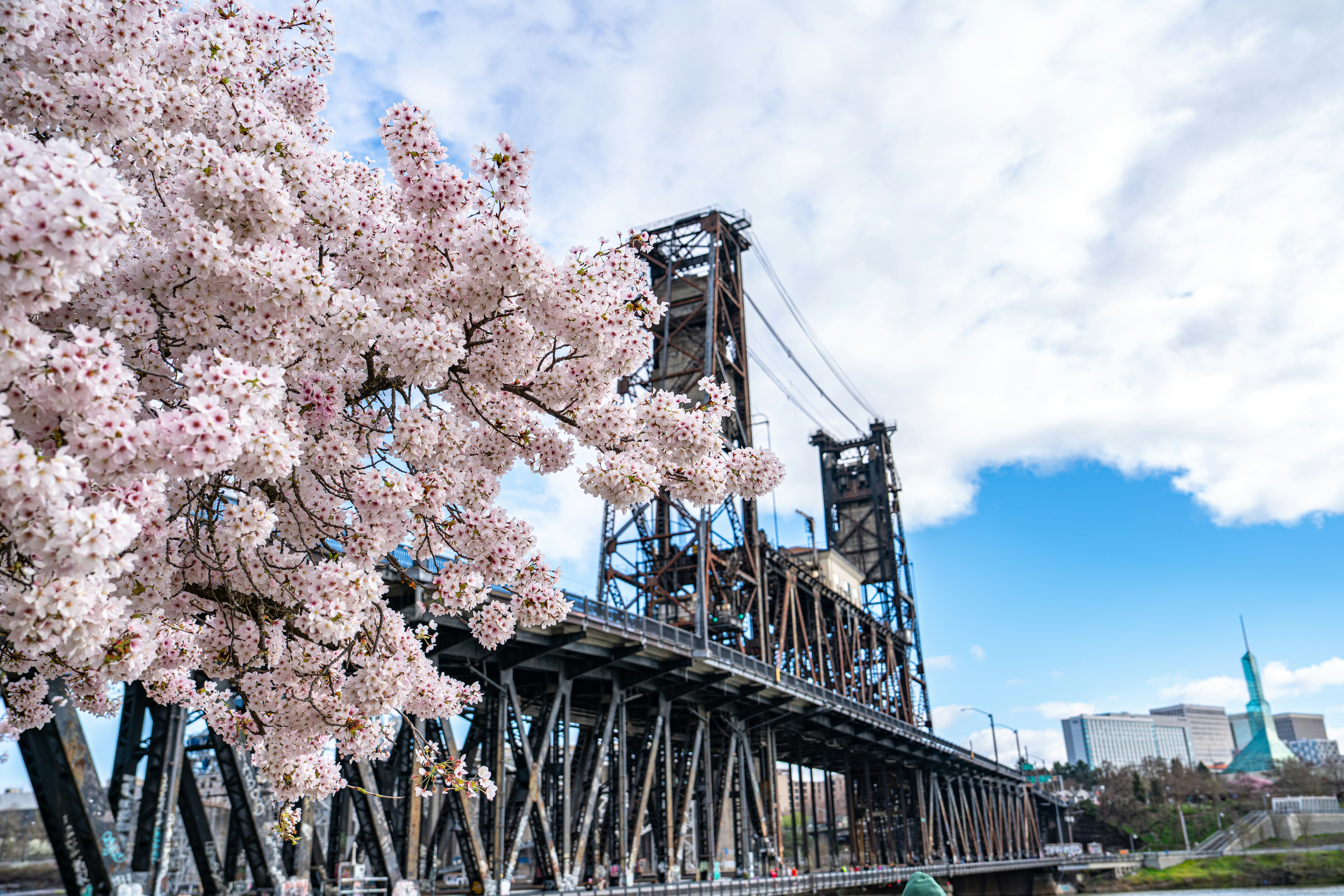 Paseo histórico por el Eje Prado-Recoletos II. Paisaje de la luz