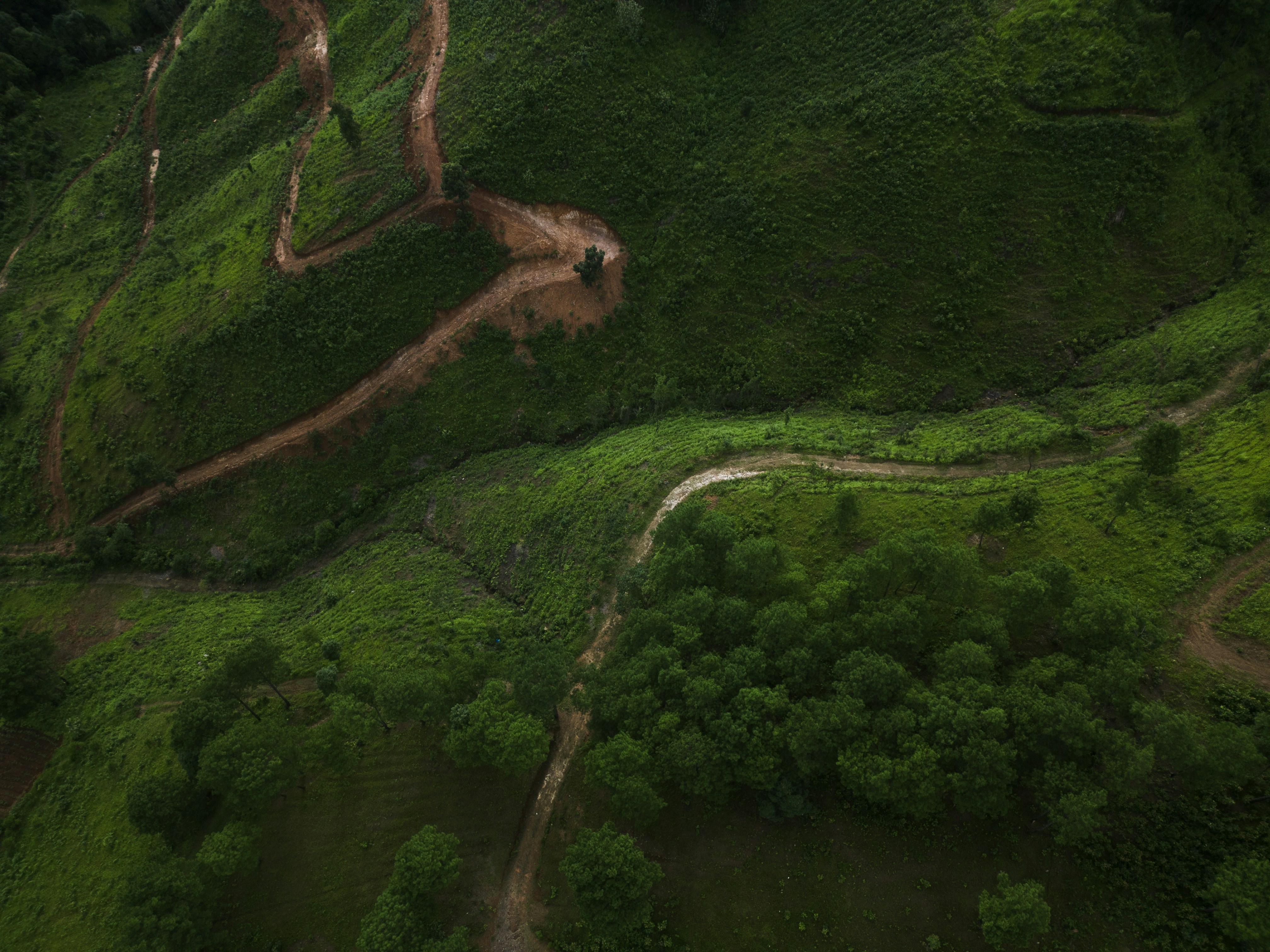 Photo by paddmasambhav