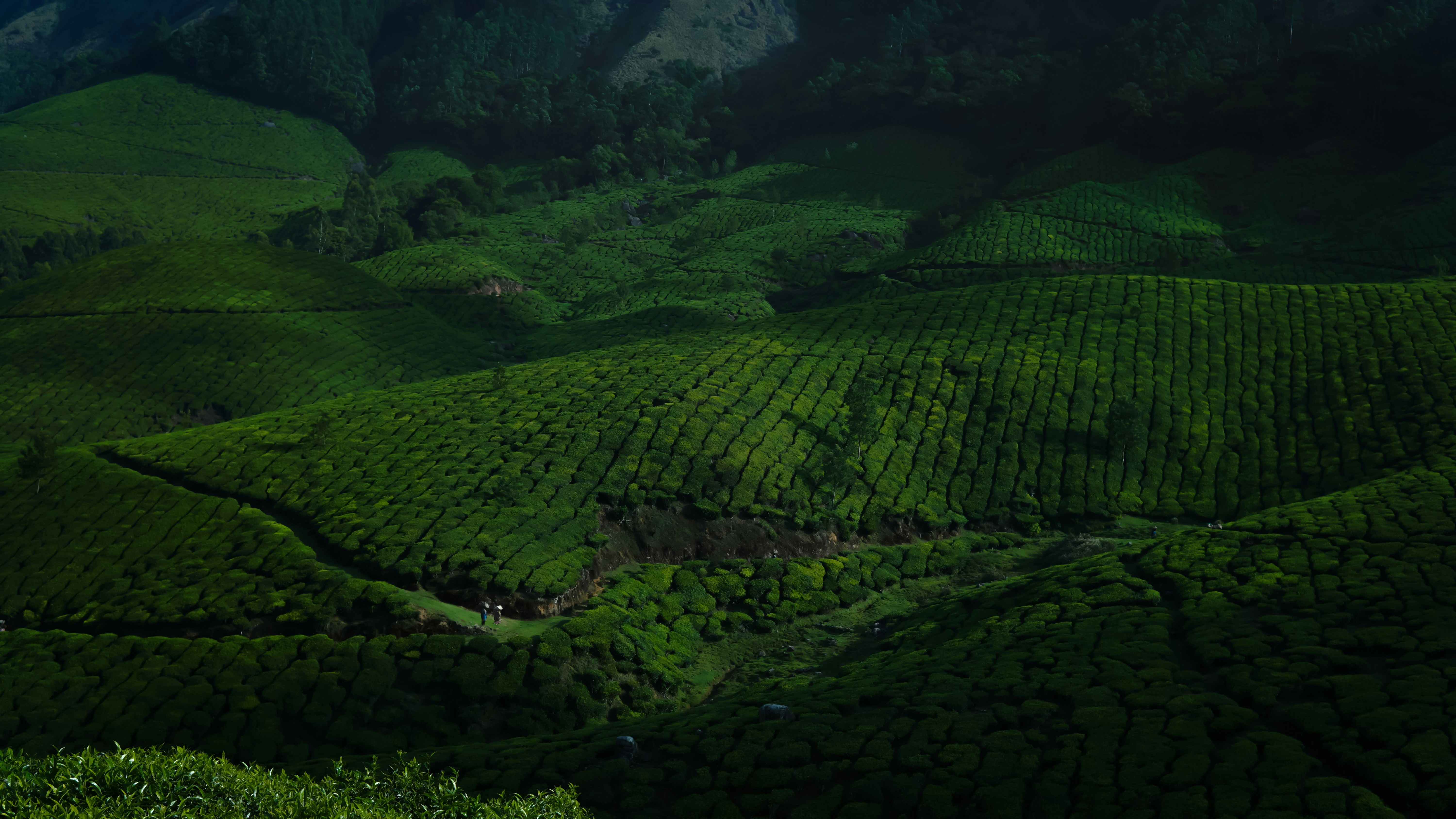 Photo by paddmasambhav