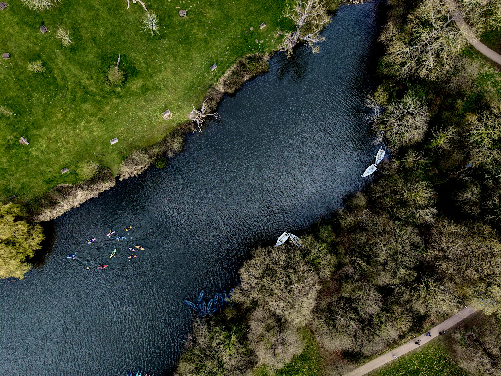 People swimming in a river surrounded by trees