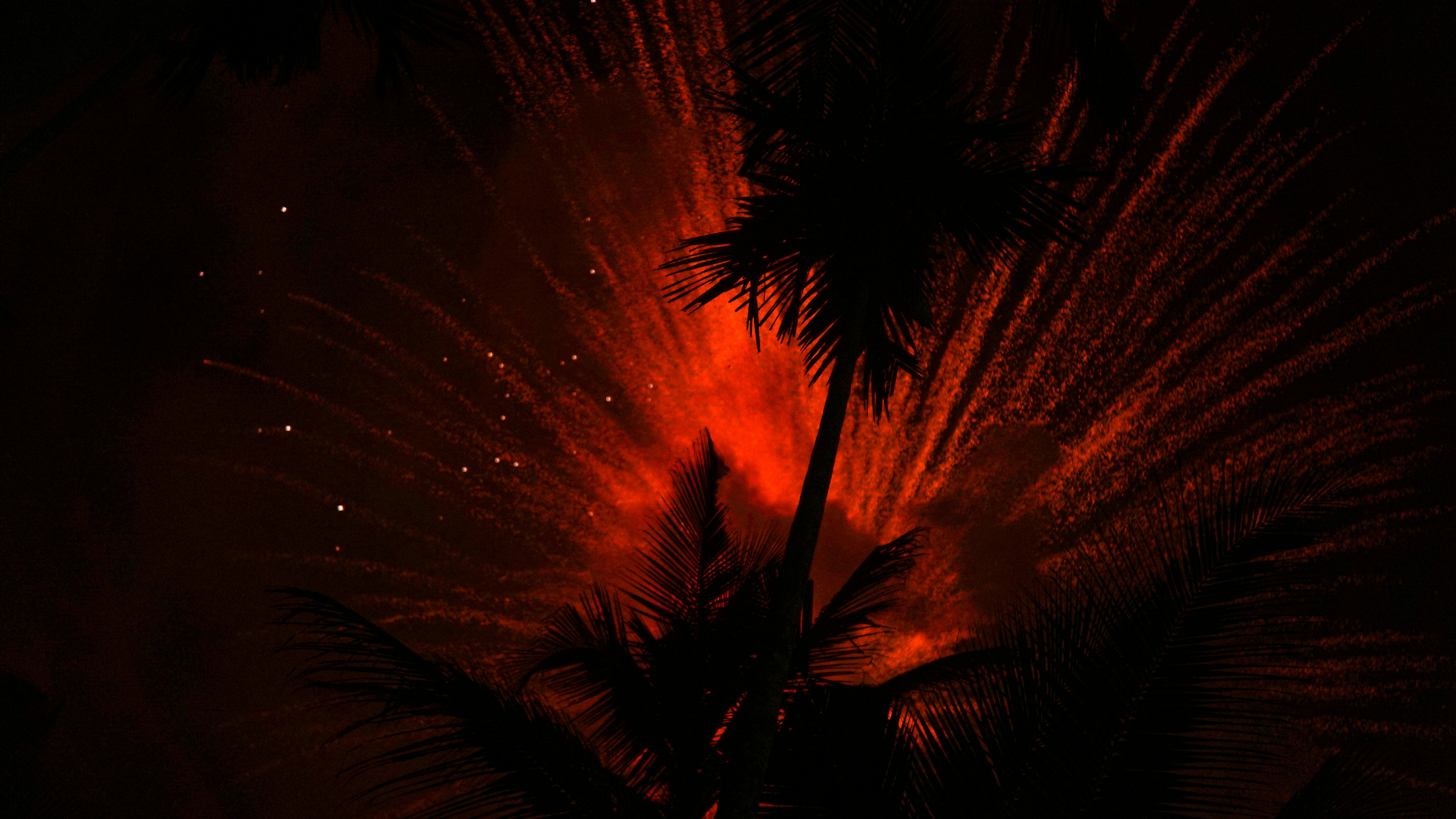 Silhouette einer Palme vor rotem Feuerwerk