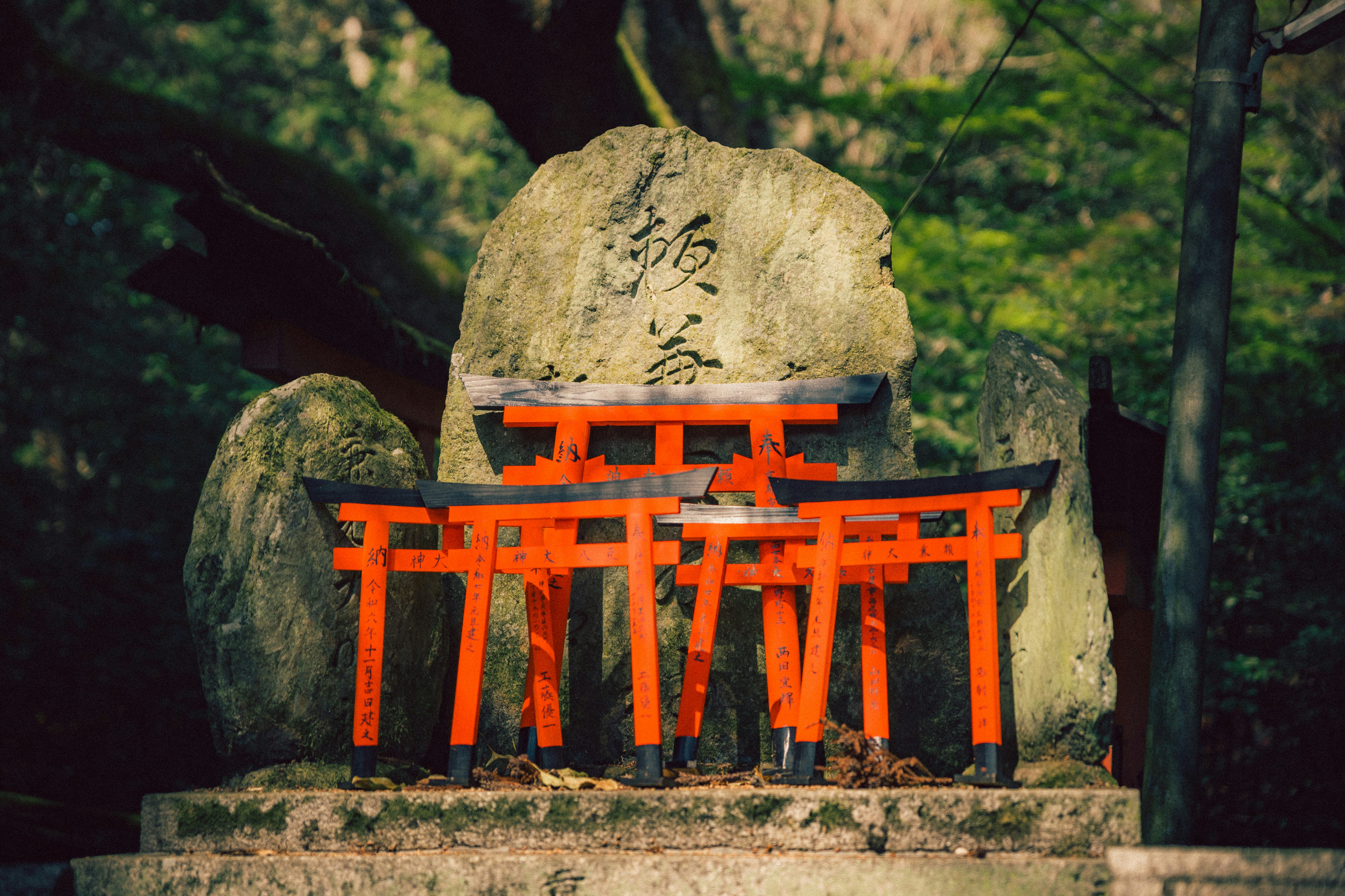 Photo by shoham_avisrur