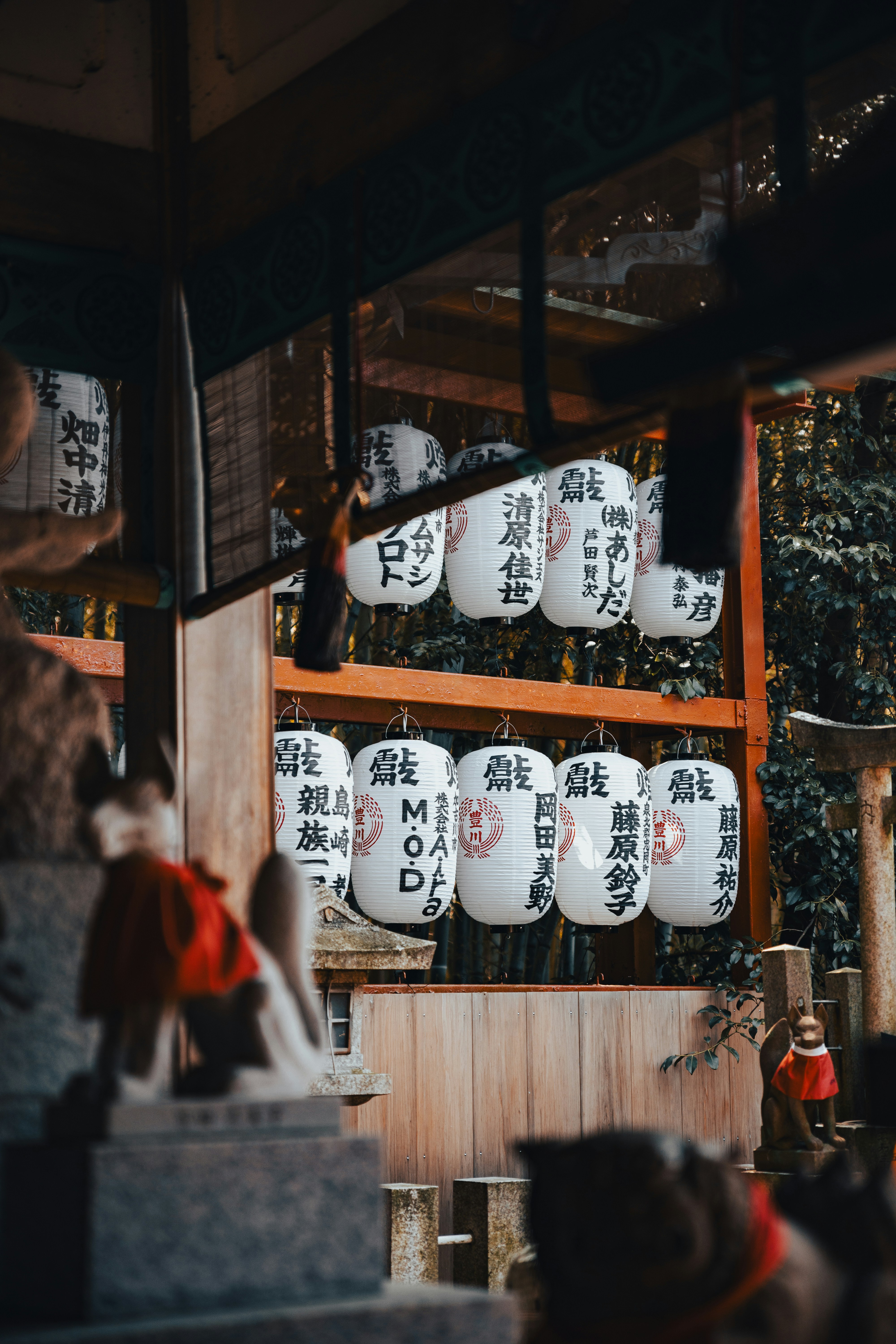 Photo by shoham_avisrur