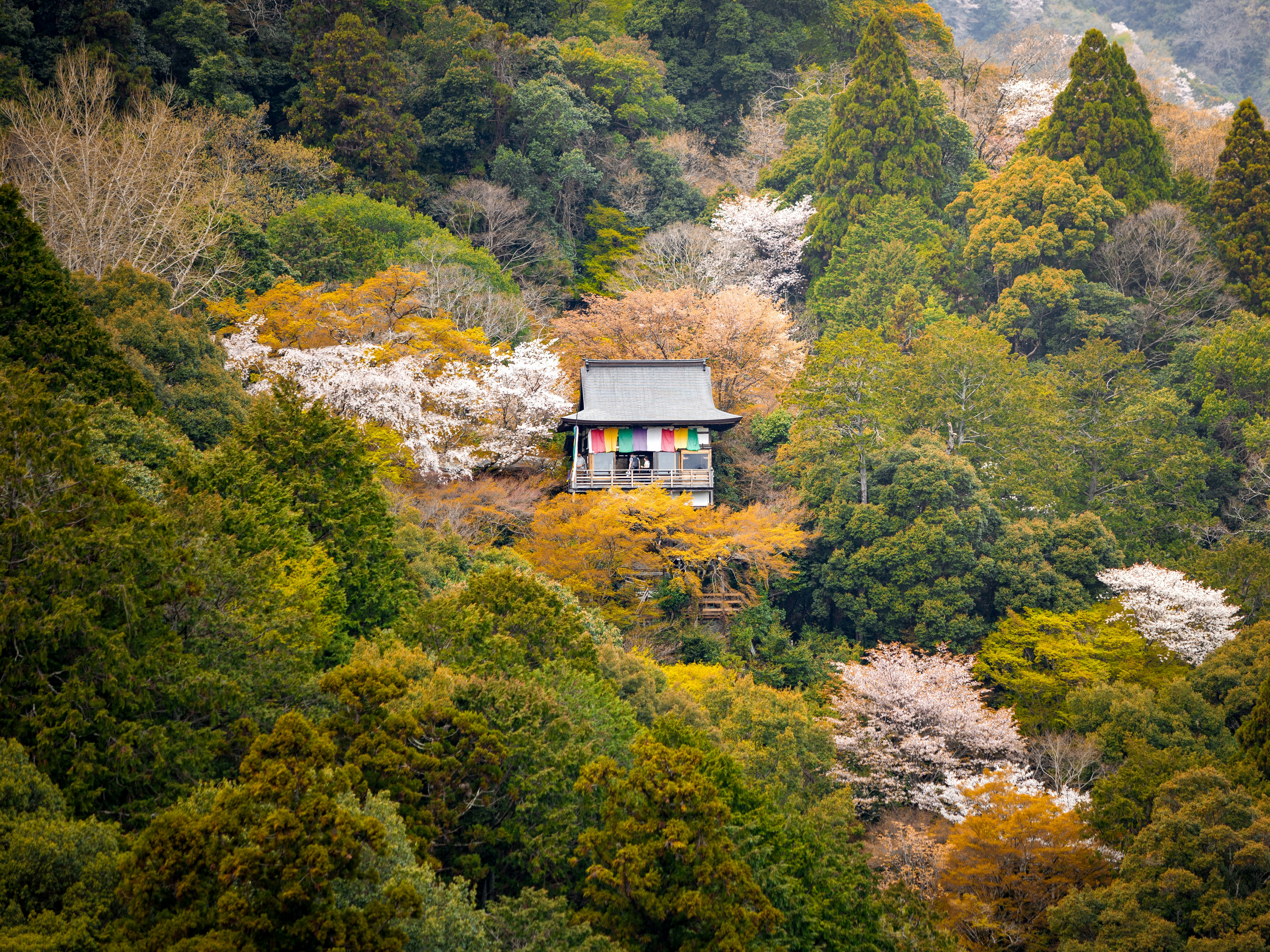 Small temple nestled among colorful trees on a hillside.