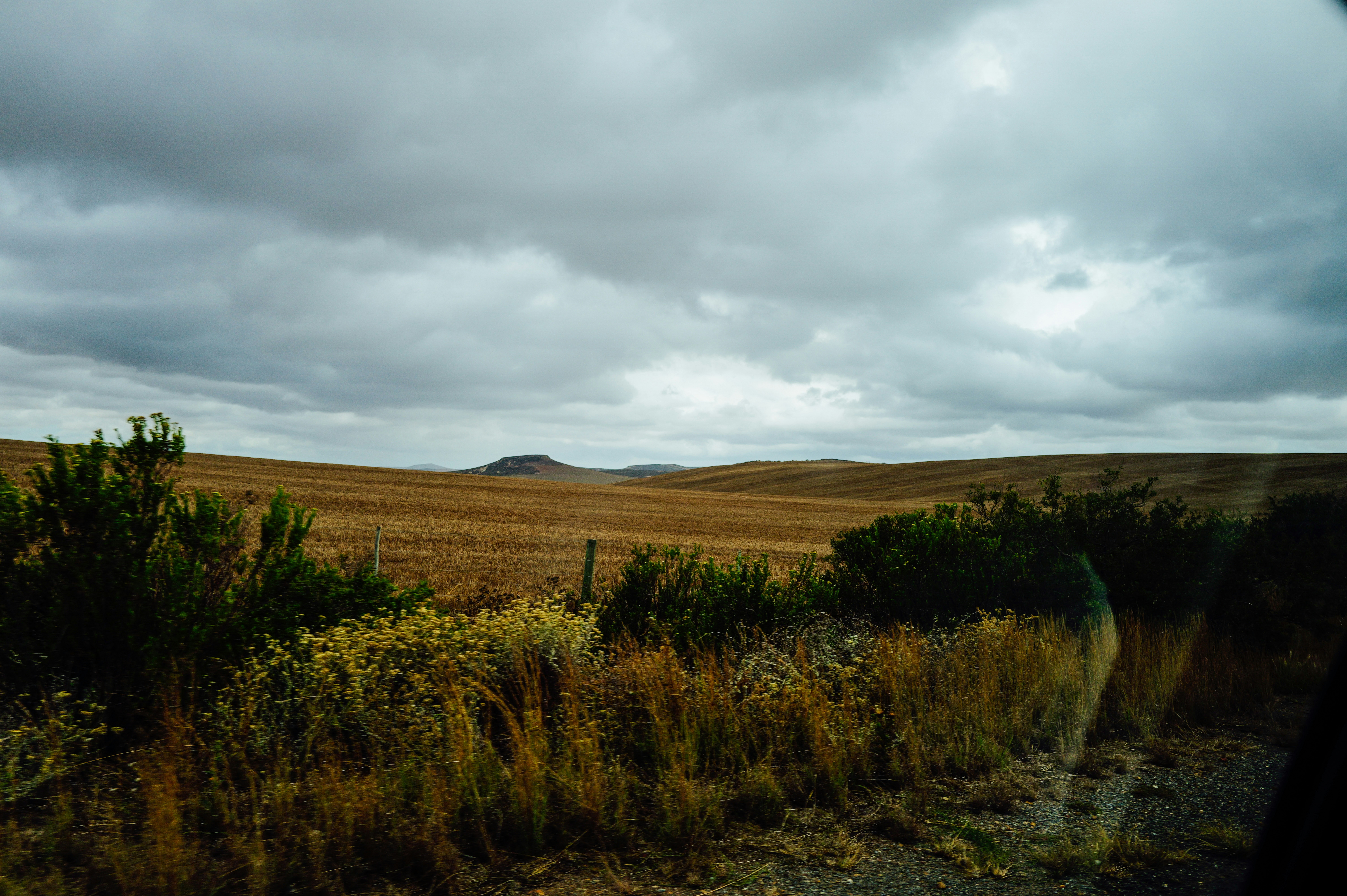 Photo by adrienolichon