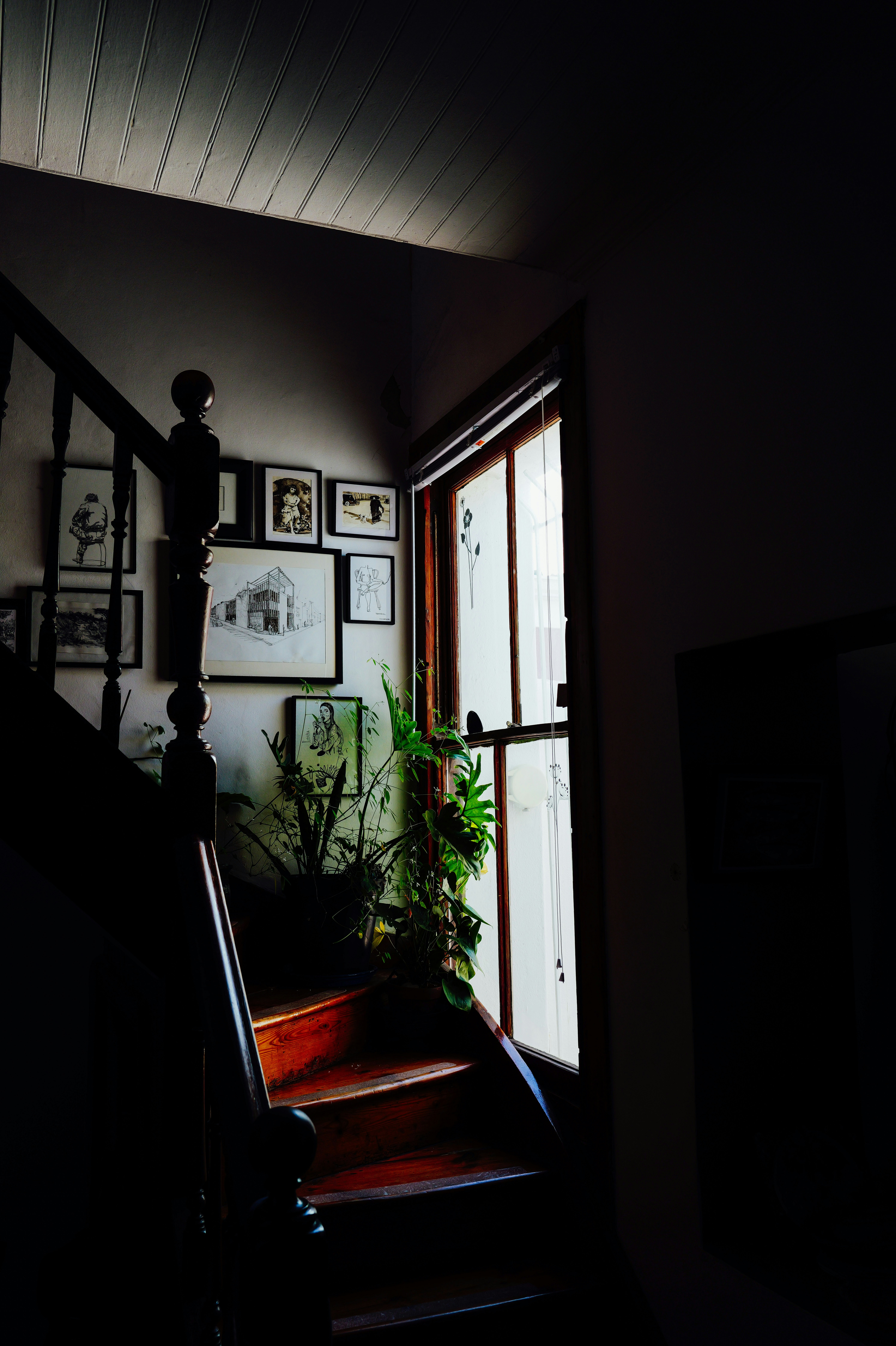 Photo by adrienolichon