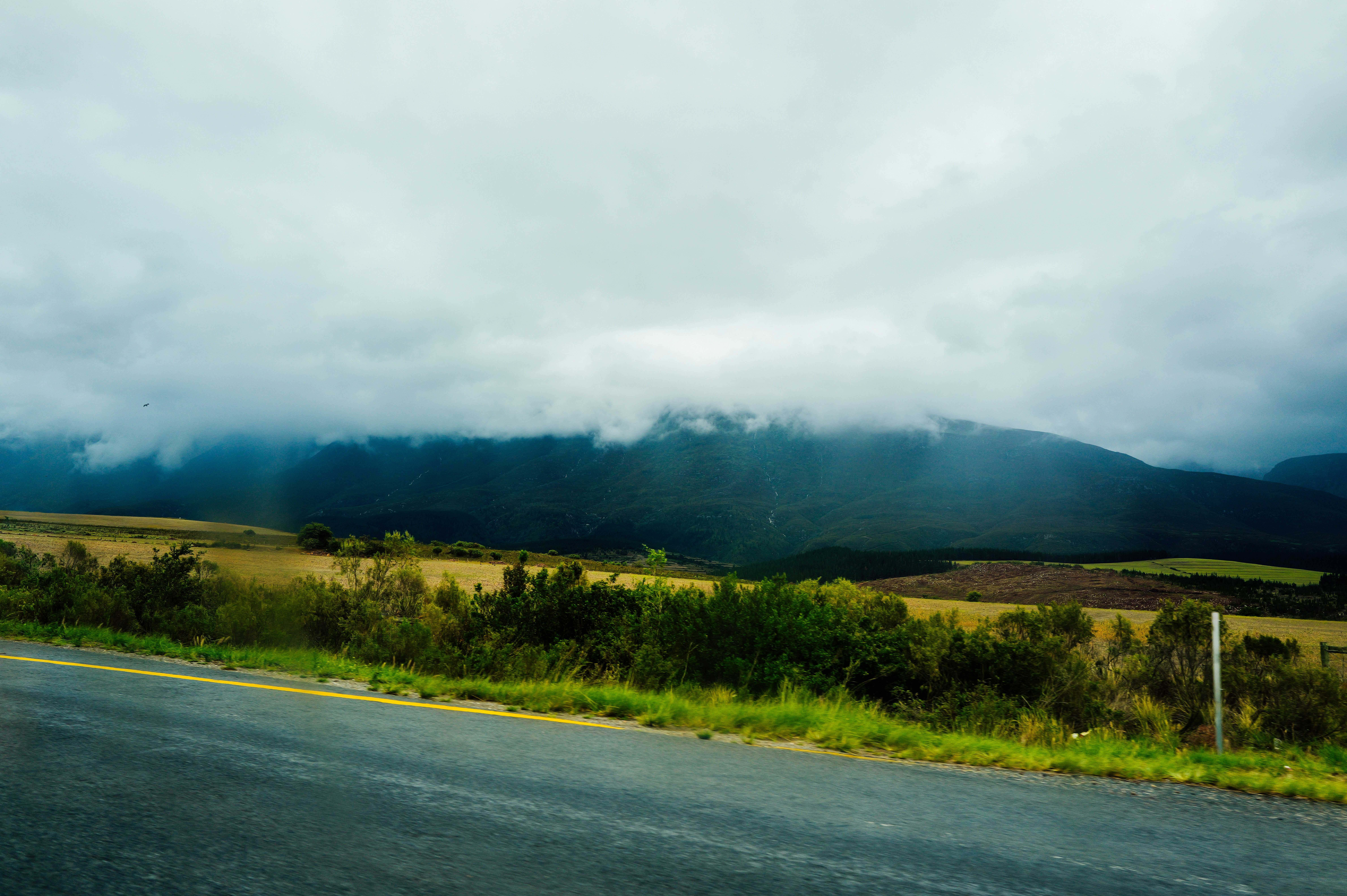 Photo by adrienolichon