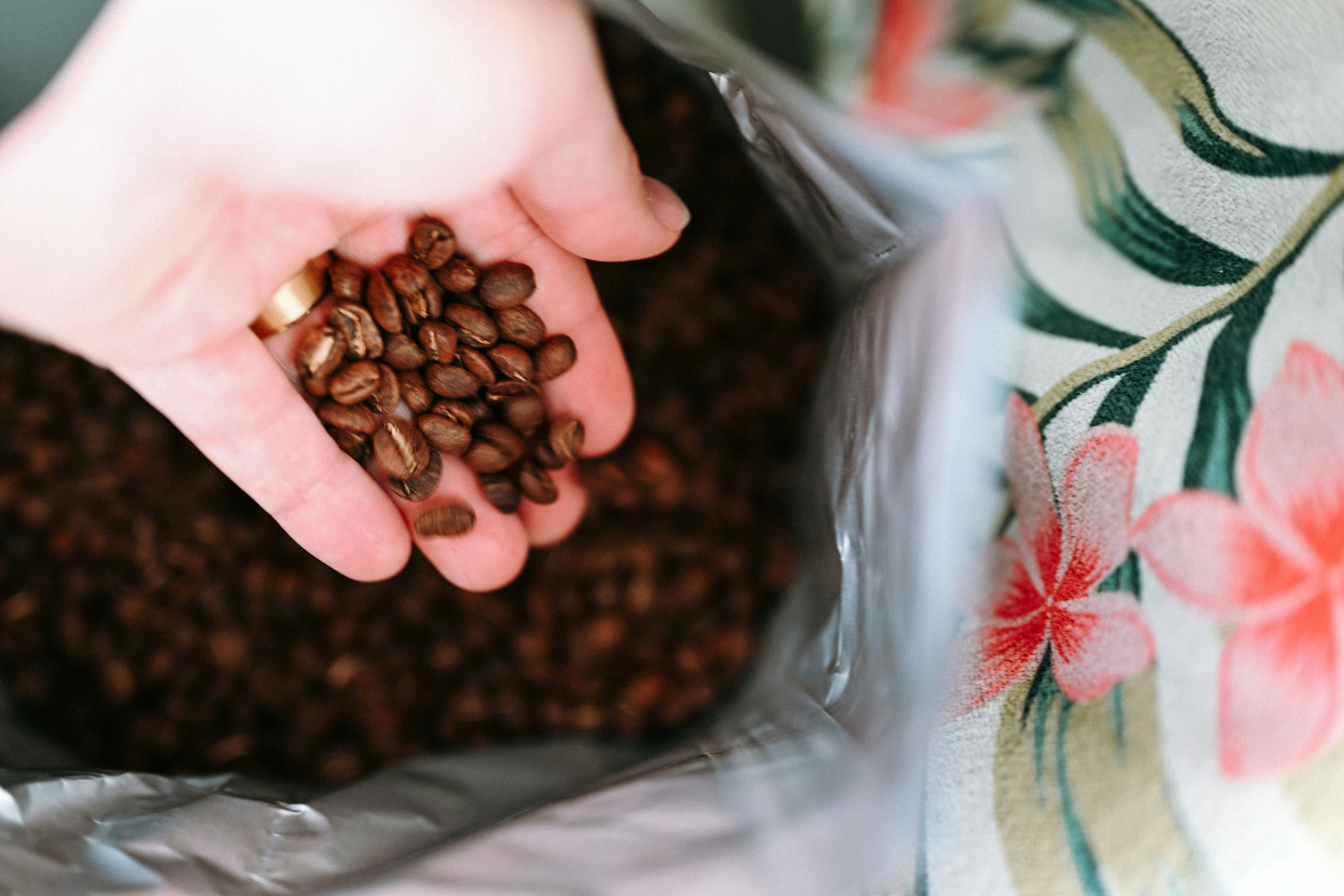 Handful of roasted coffee beans over a bag