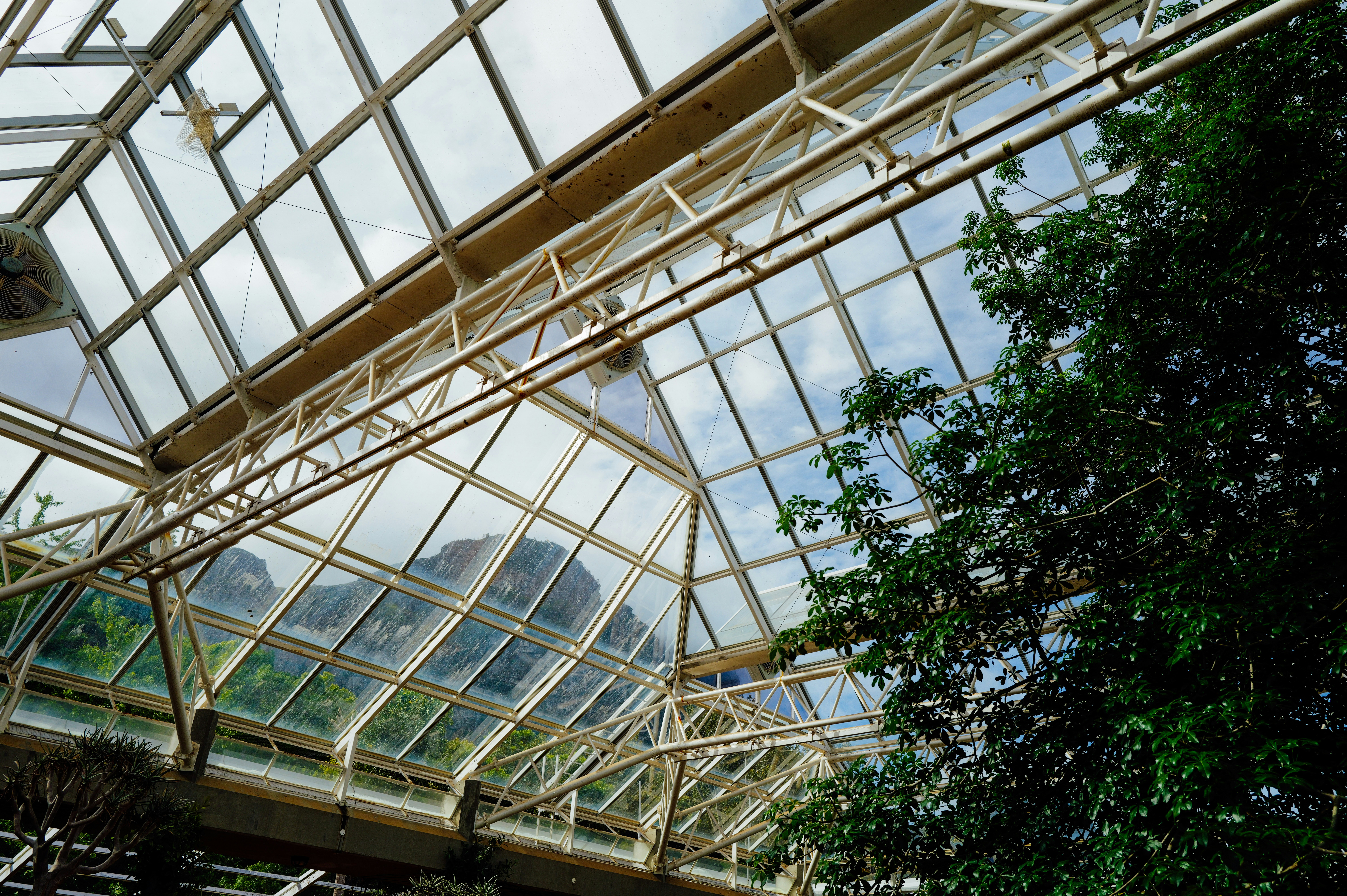 Photo by adrienolichon