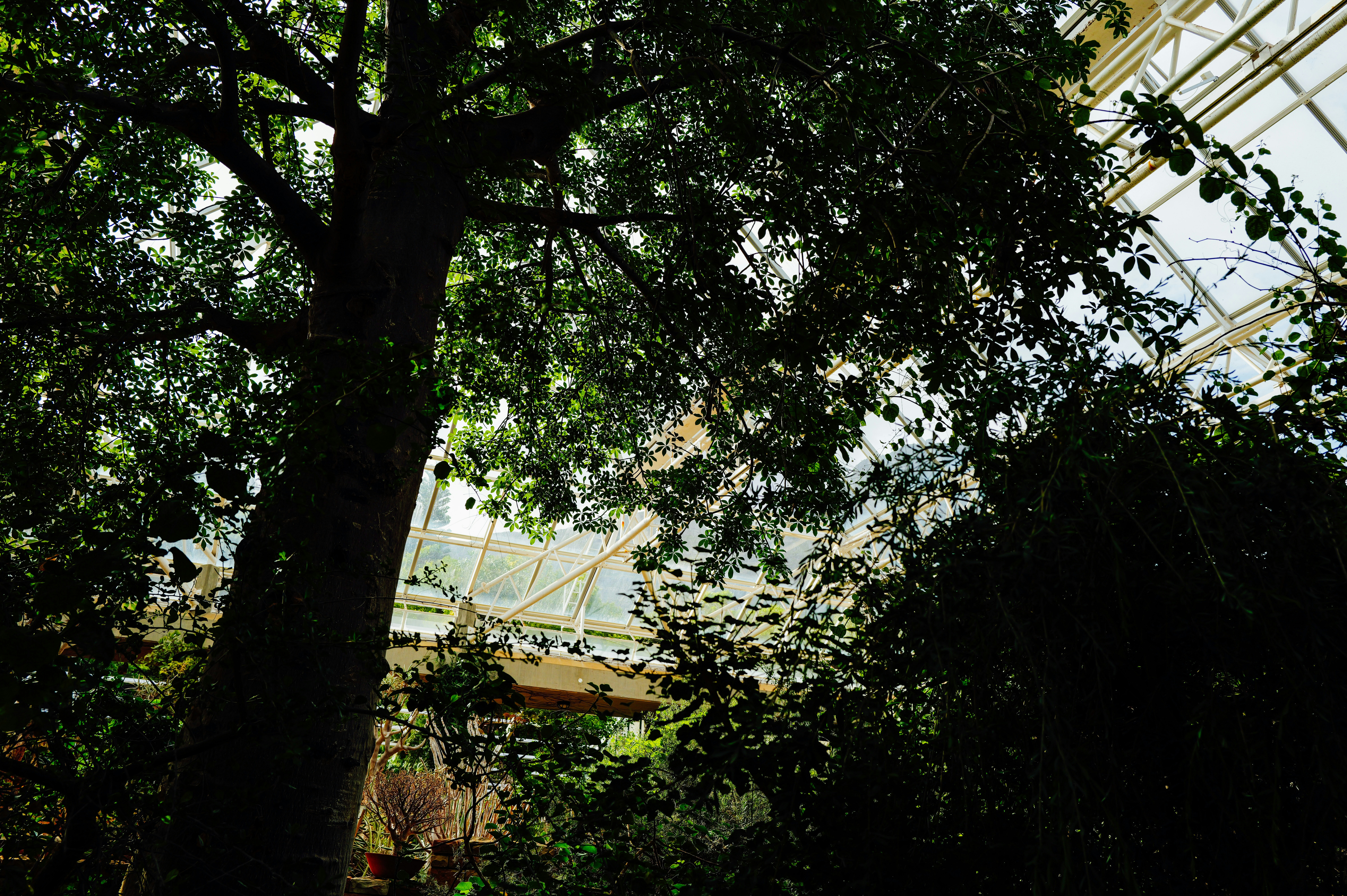 Photo by adrienolichon