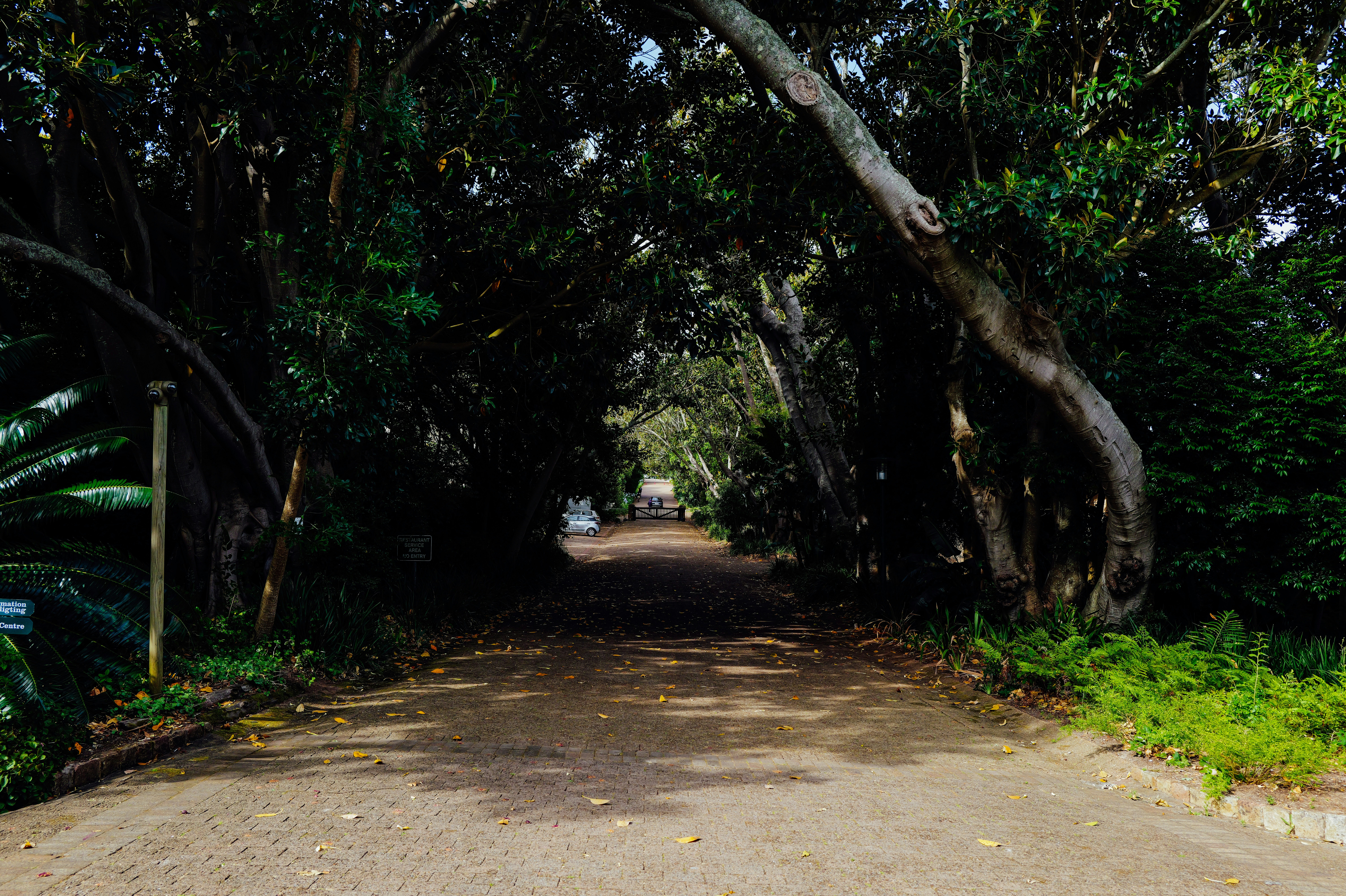 Photo by adrienolichon