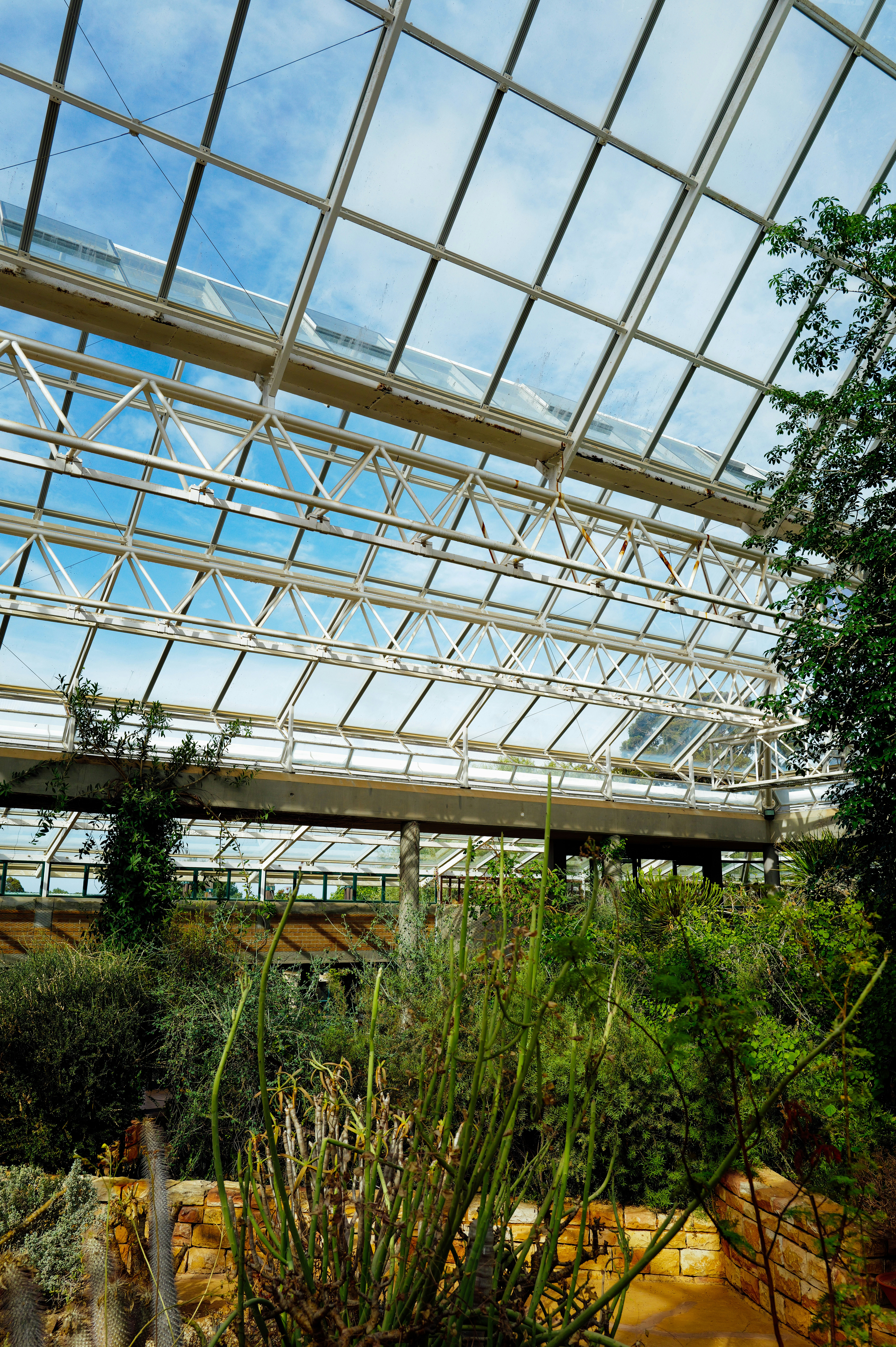 Photo by adrienolichon