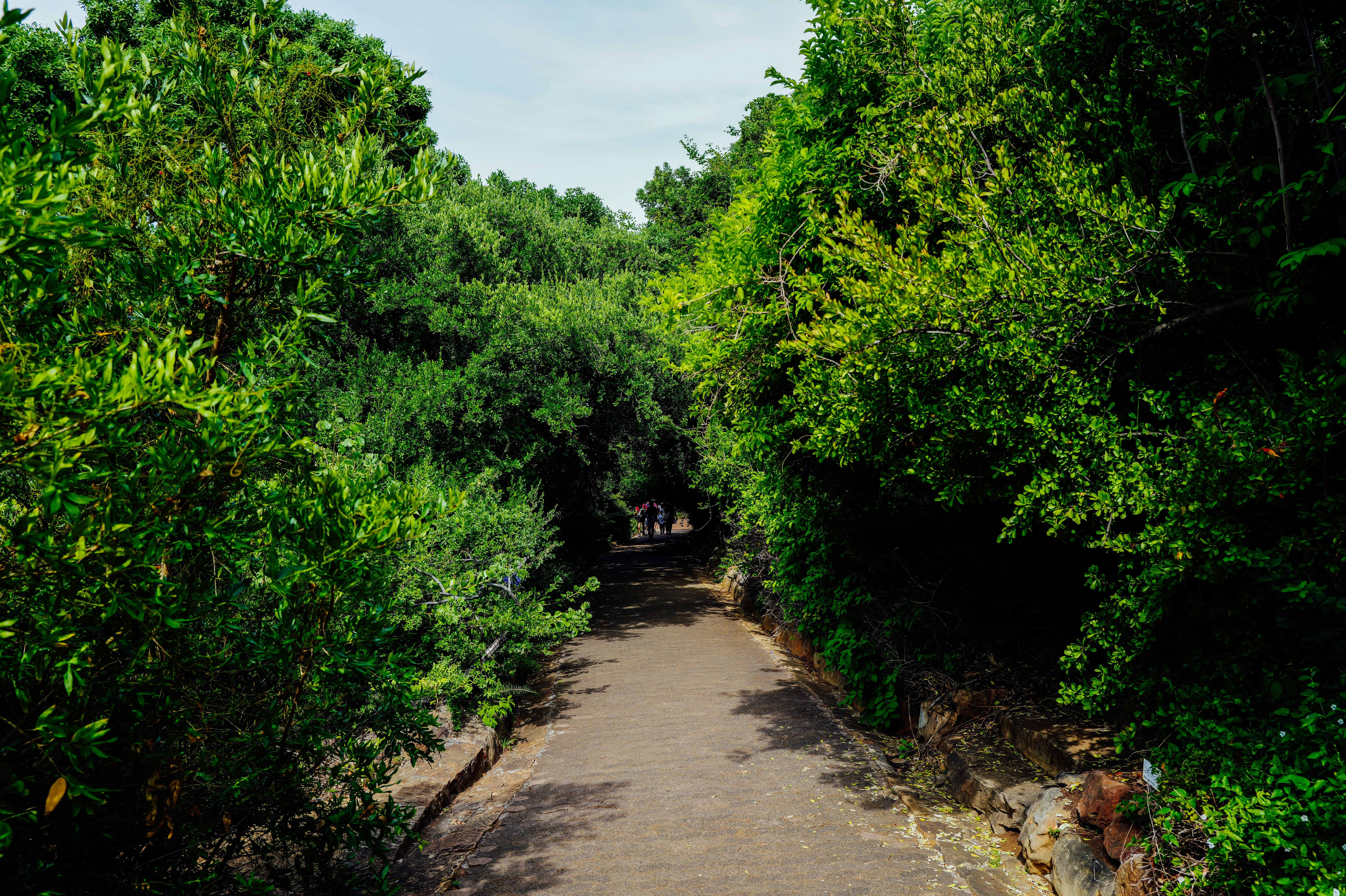 Photo by adrienolichon