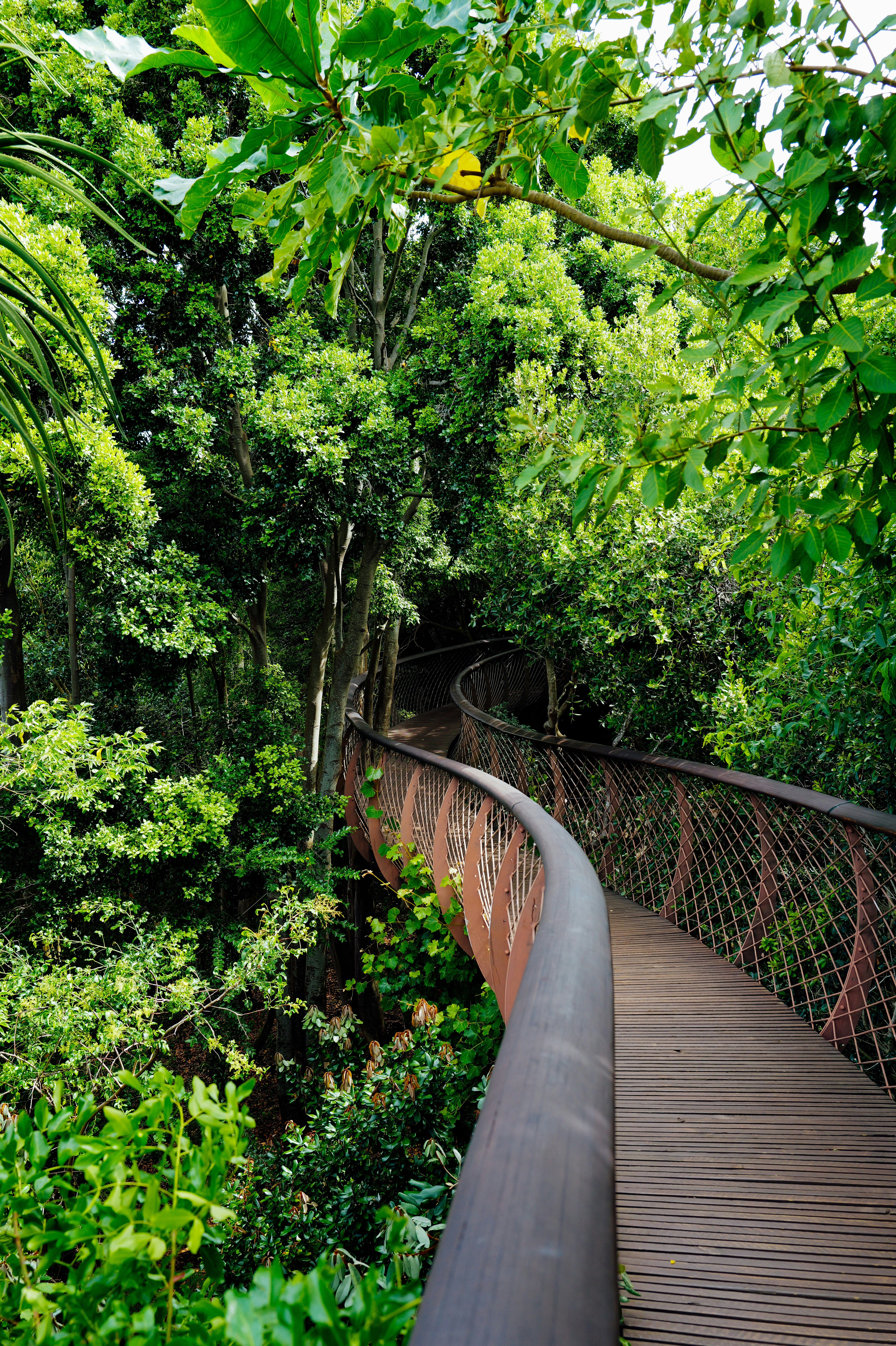 Photo by adrienolichon