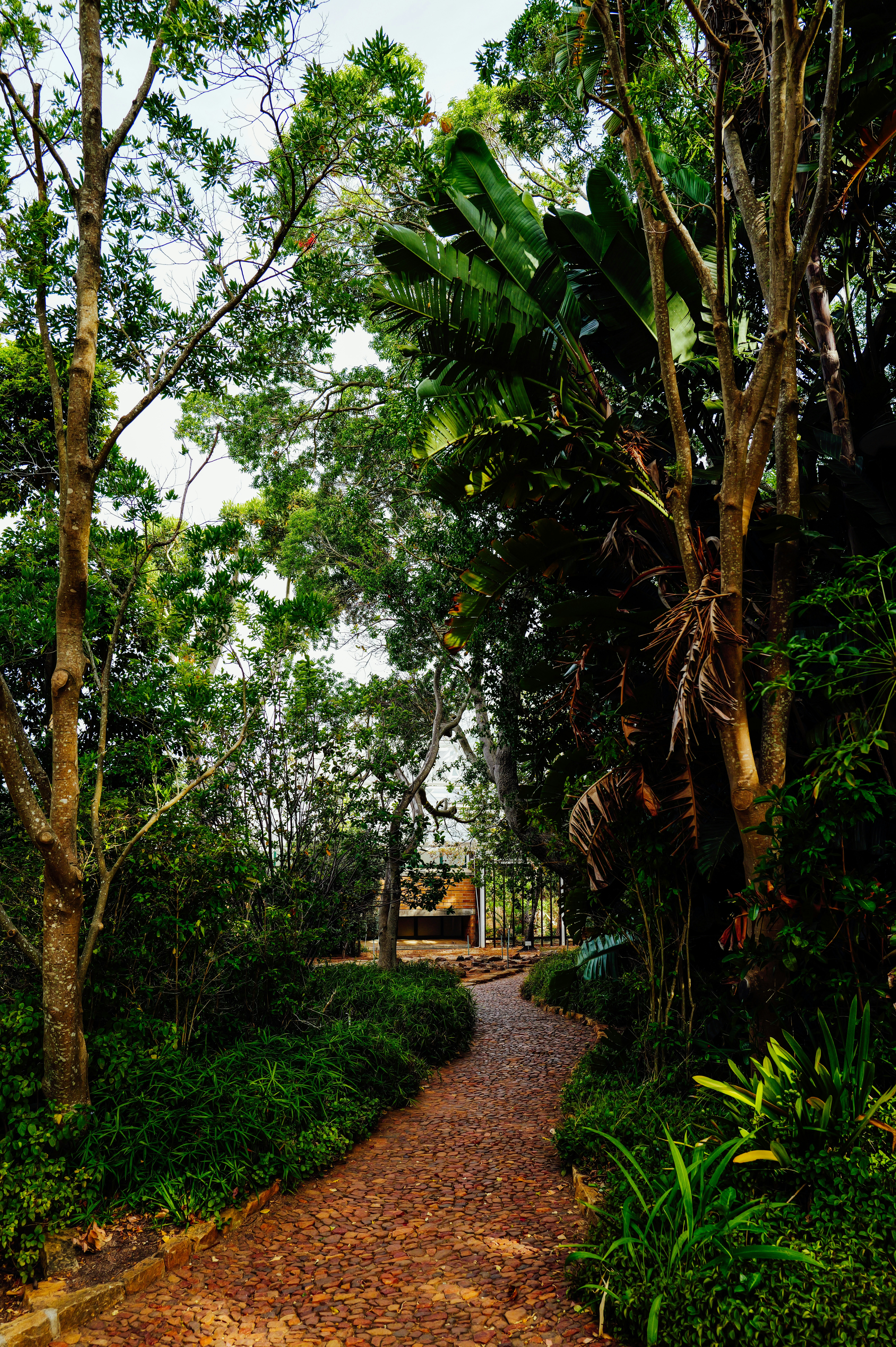 Photo by adrienolichon