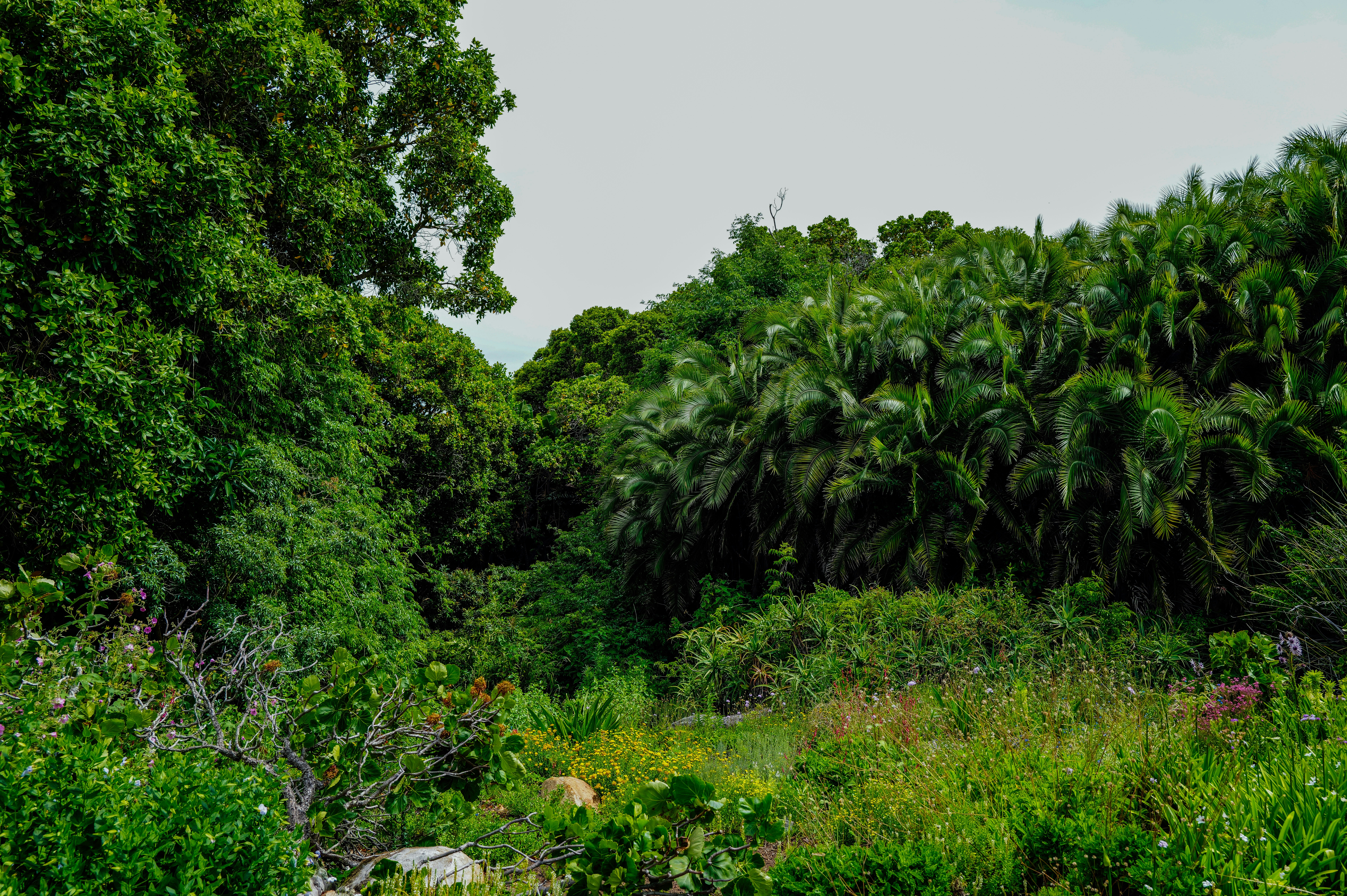 Photo by adrienolichon