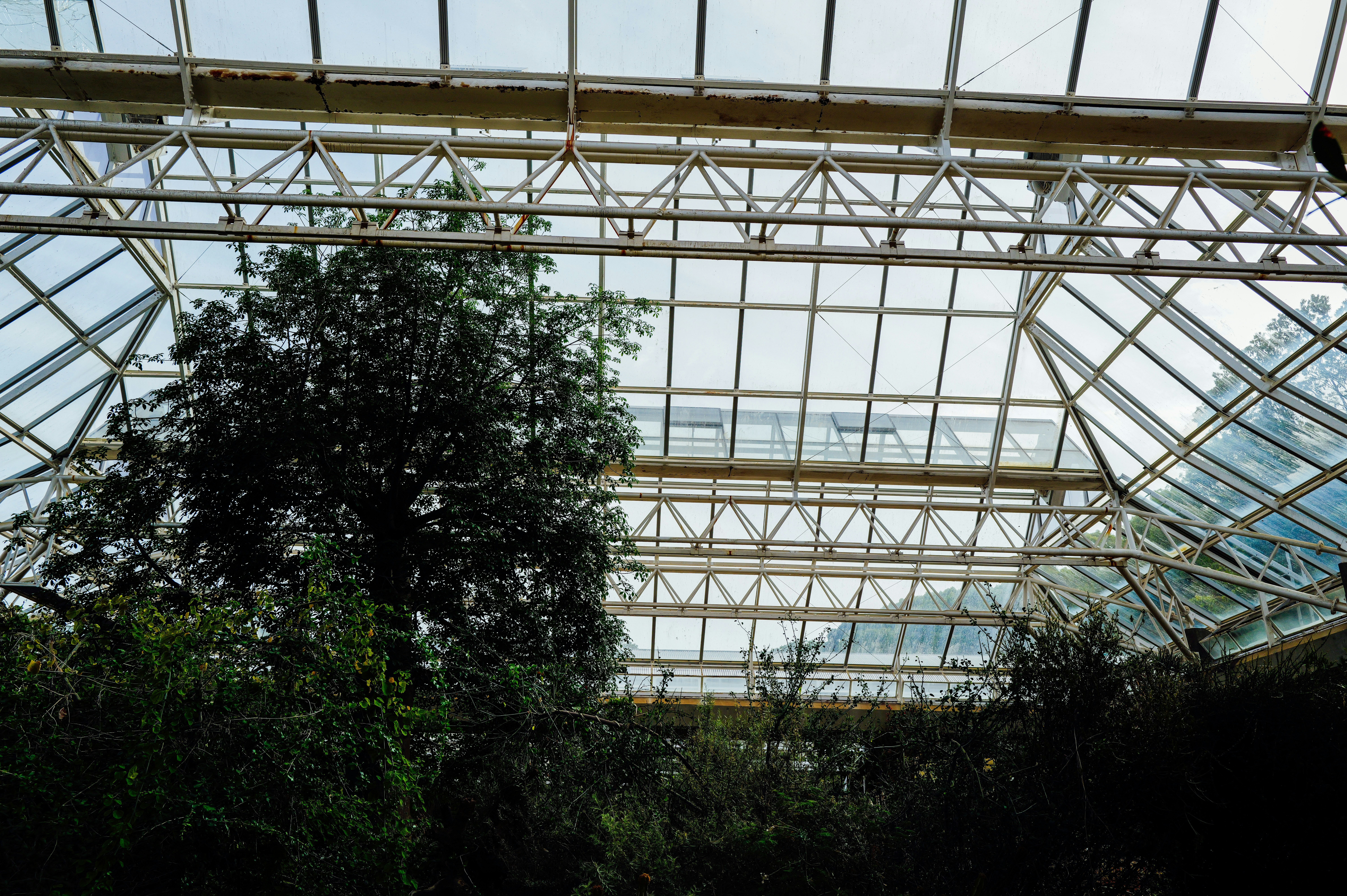 Photo by adrienolichon