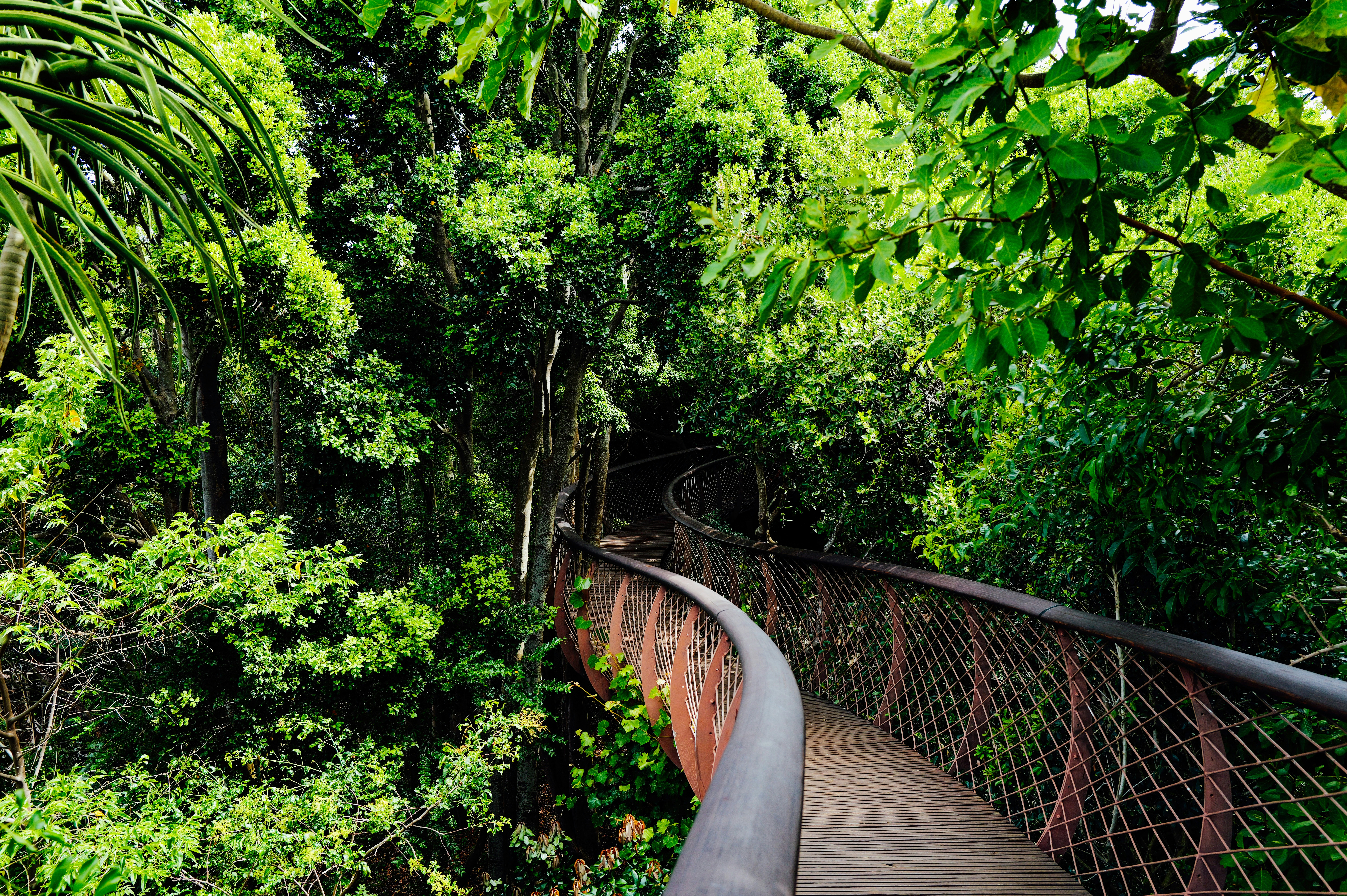 Photo by adrienolichon